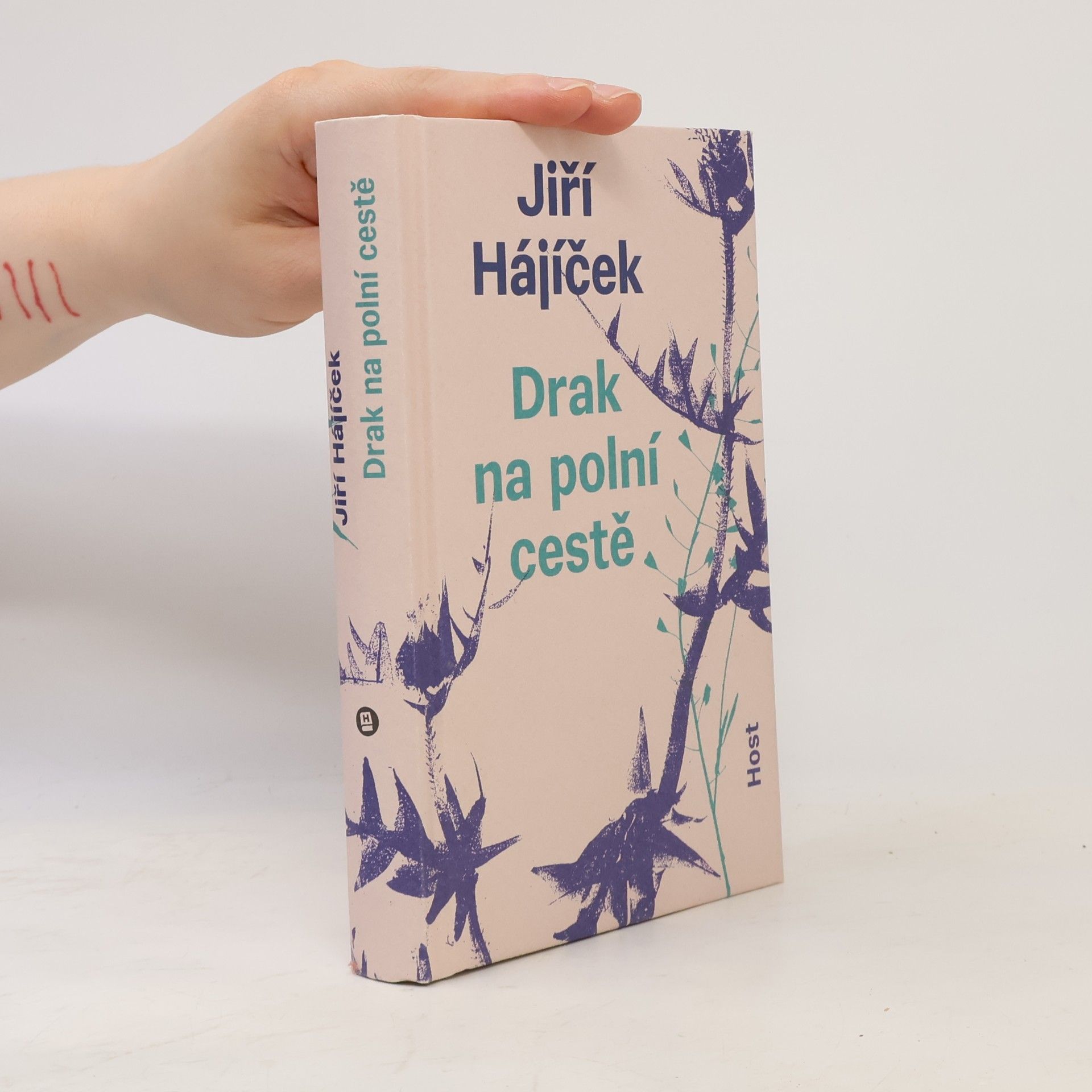Jiří Hájíček Drak na polní cestě