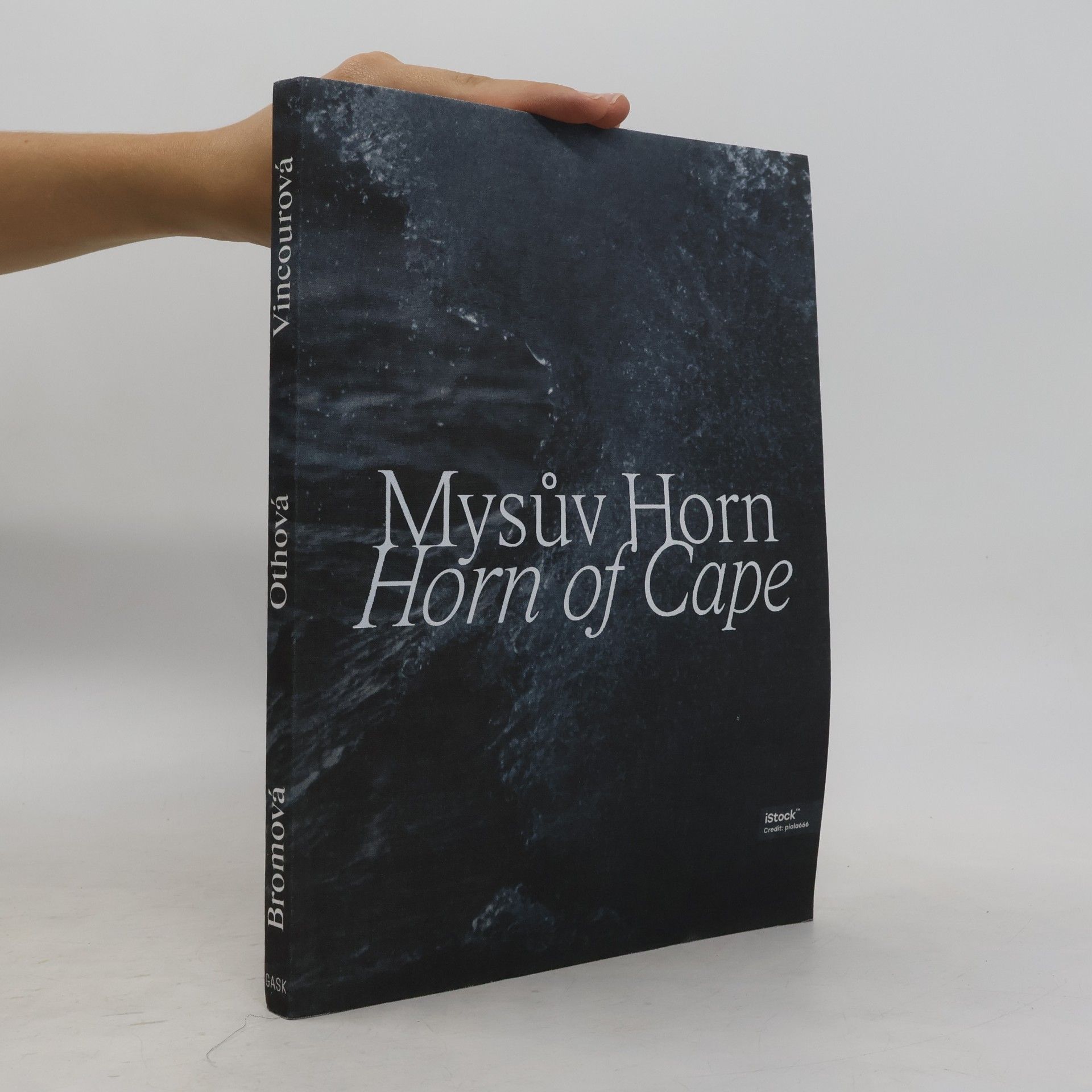 Kolektiv autorů Mysův Horn = Horn of Cape : Veronika Bromová, Markéta Othová, Kateřina Vincourová