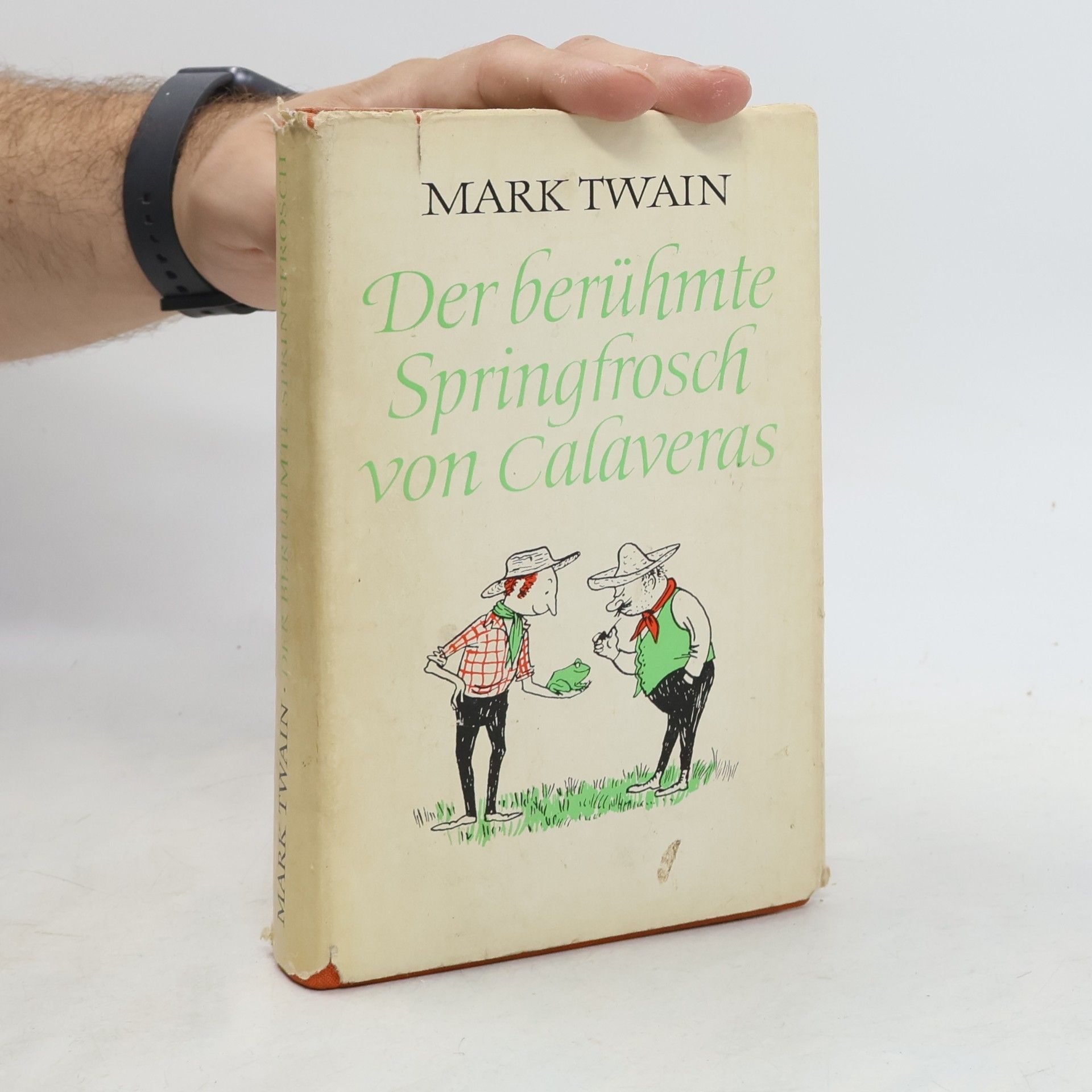 Mark Twain Der berühmte Springfrosch von Calaveras