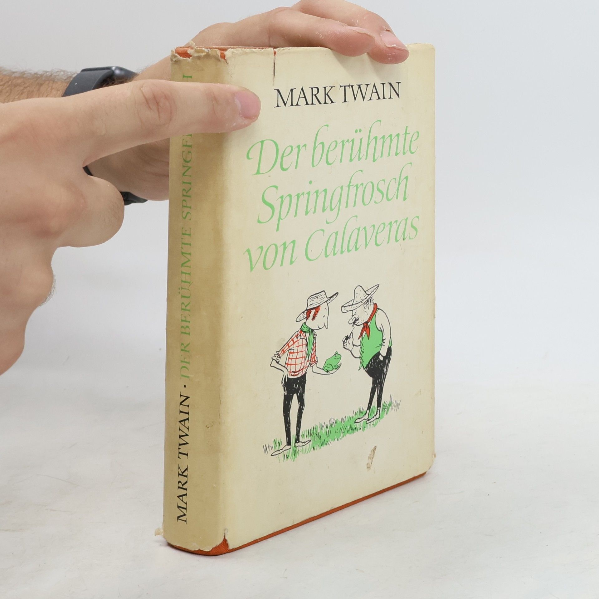 Mark Twain Der berühmte Springfrosch von Calaveras