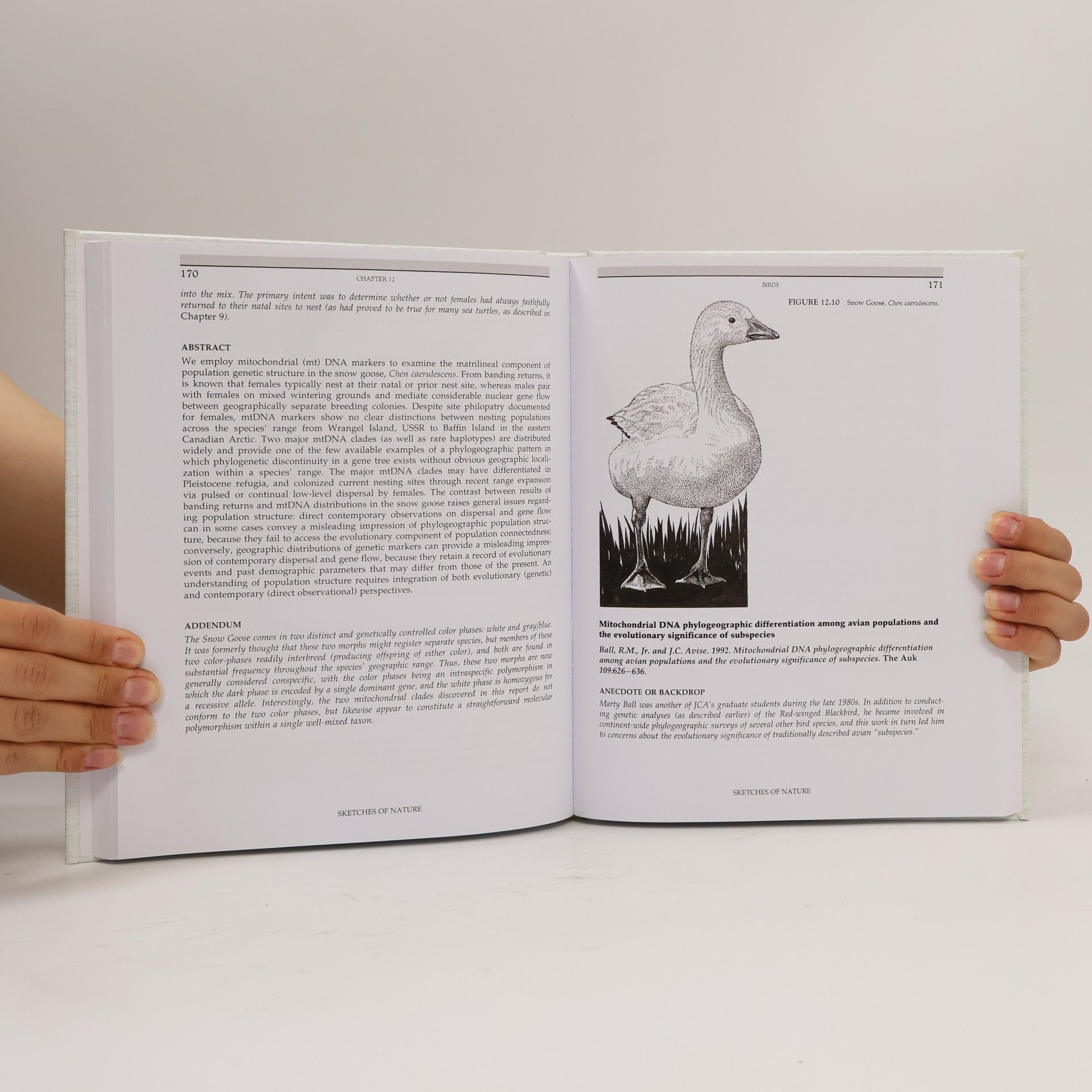 John C. Avise Sketches of Nature