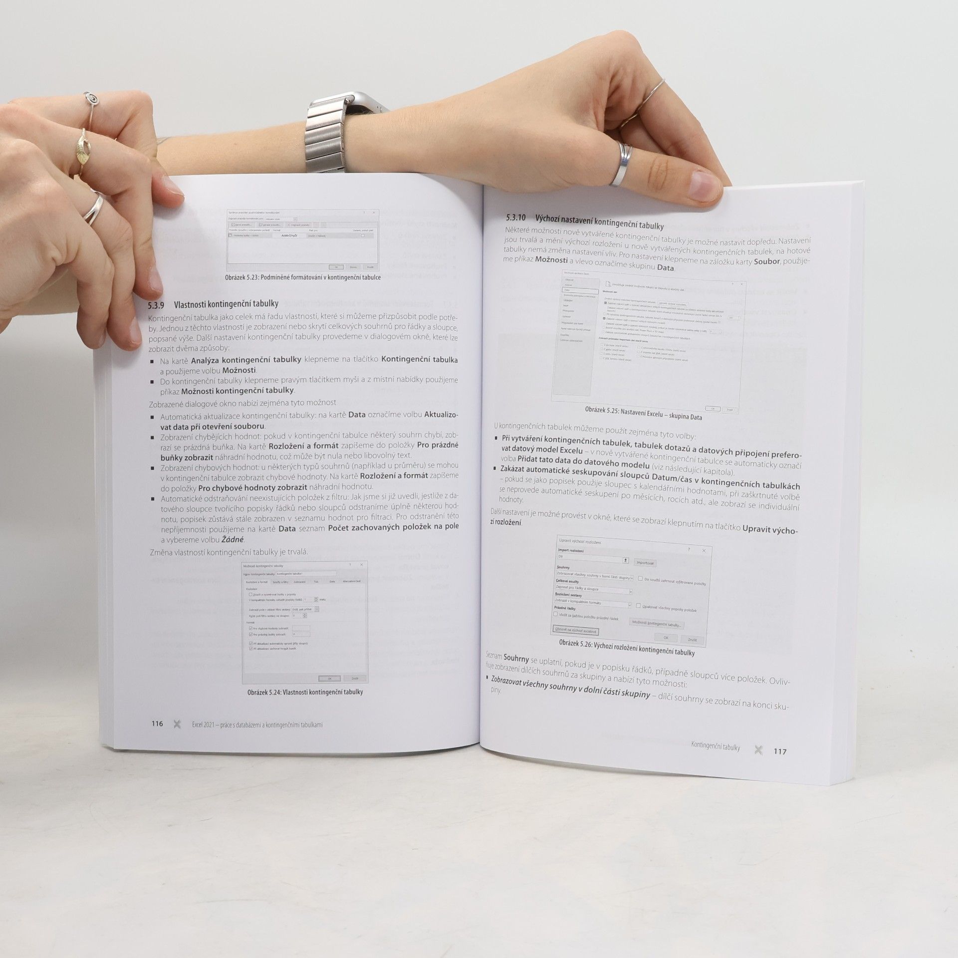 Marek Laurenčík Excel 2021 - Práce s databázemi a kontingenčními tabulkami