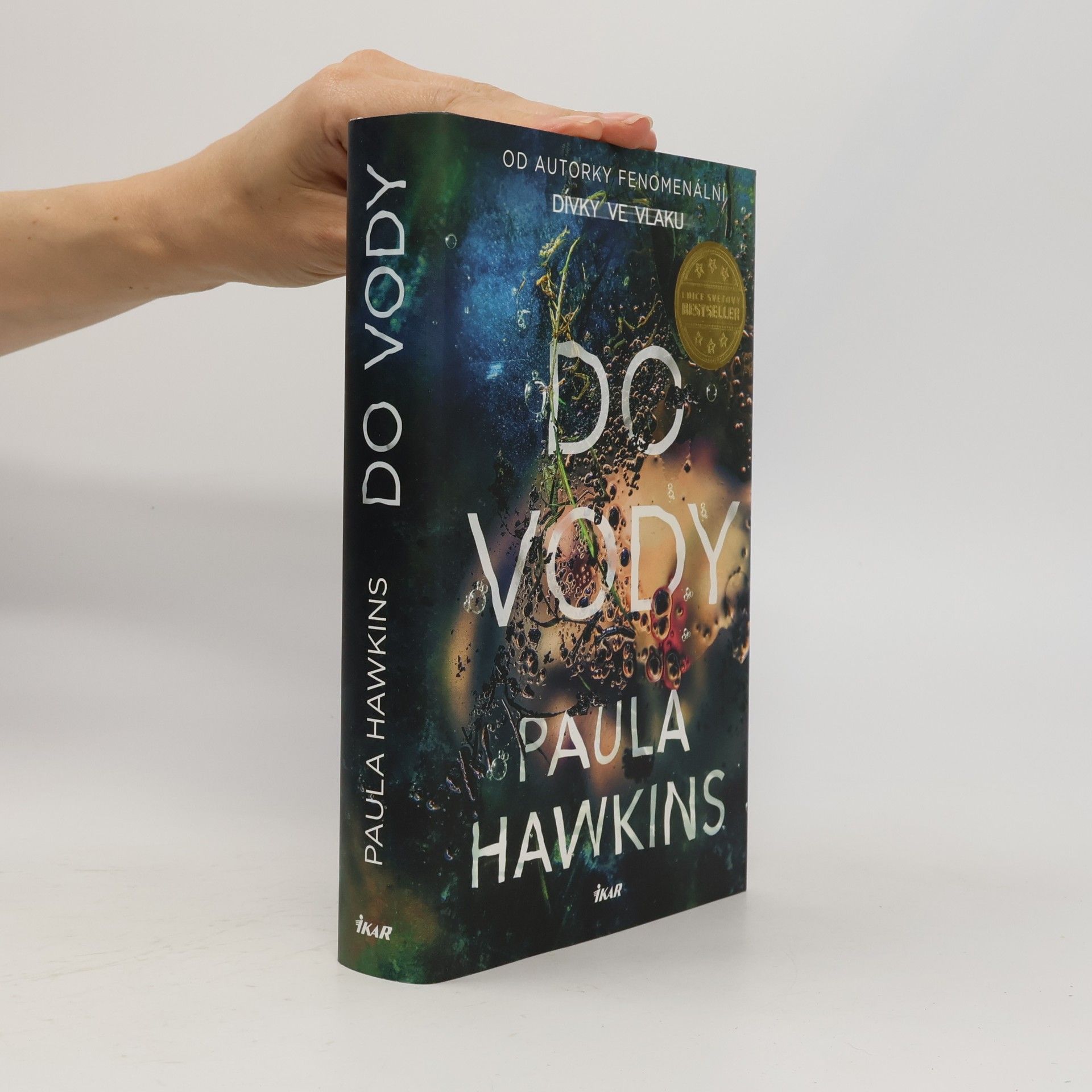 Paula Hawkins Do vody