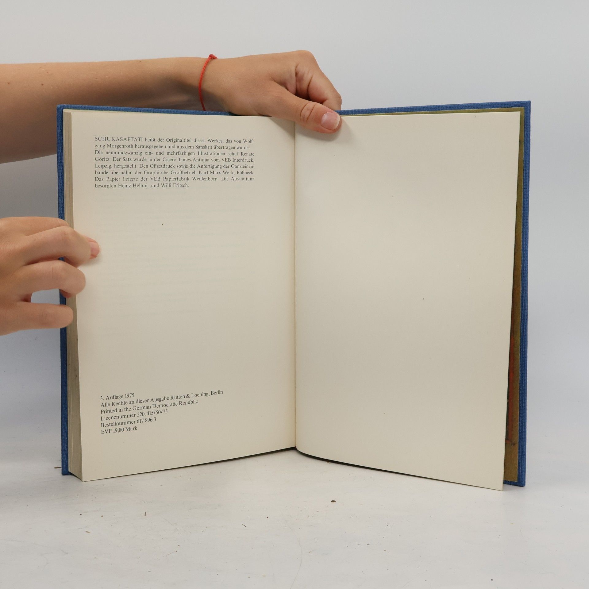 Kolektív autorov Das Papageienbuch