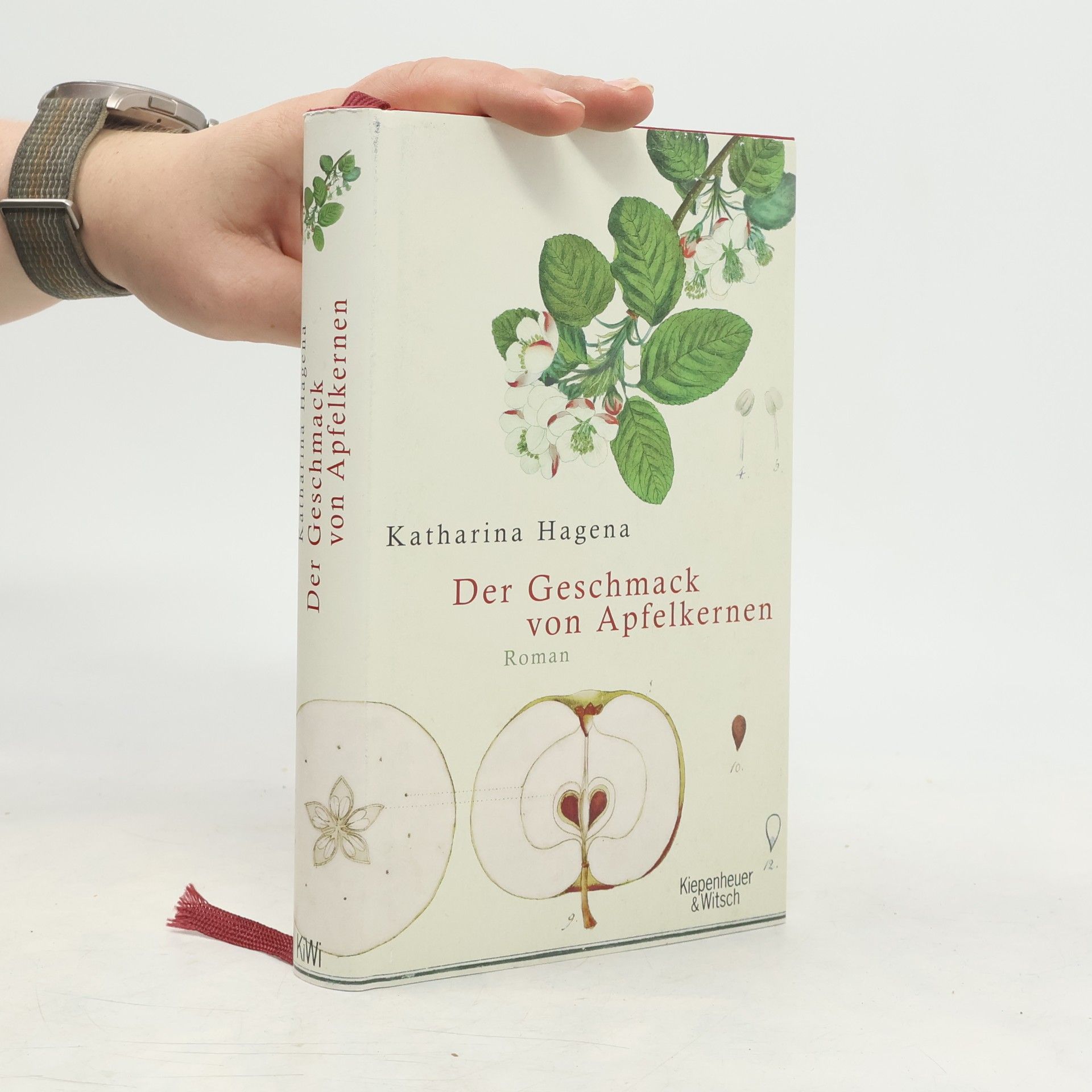 Katharina Hagena Der Geschmack von Apfelkernen