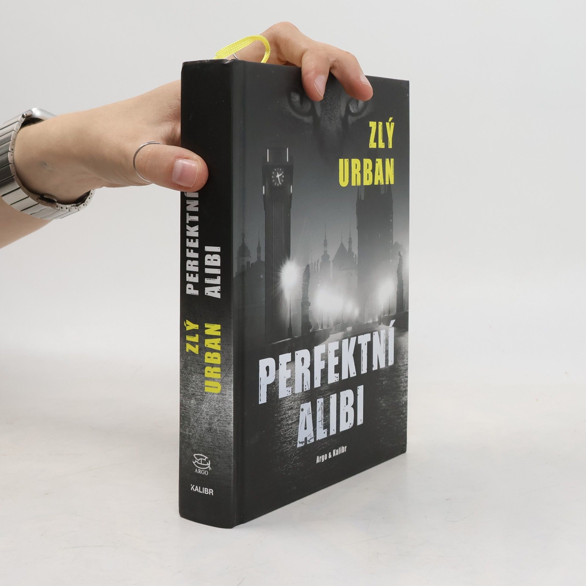 Vladimír Zlý Perfektní alibi