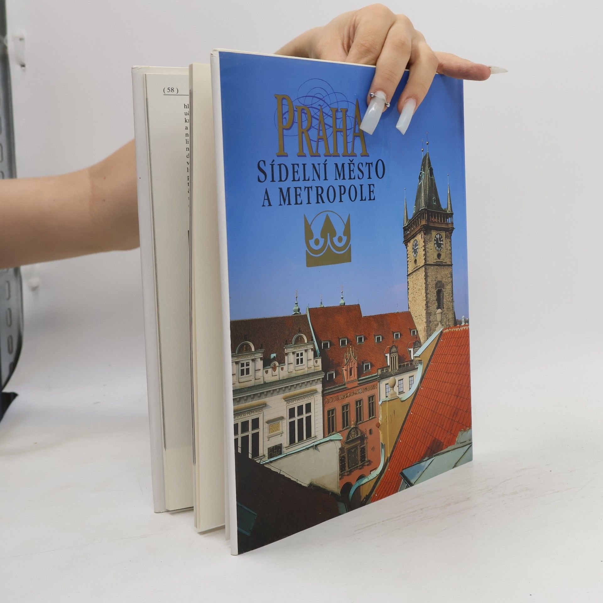 Petr Čornej Praha sídelní město a metropole