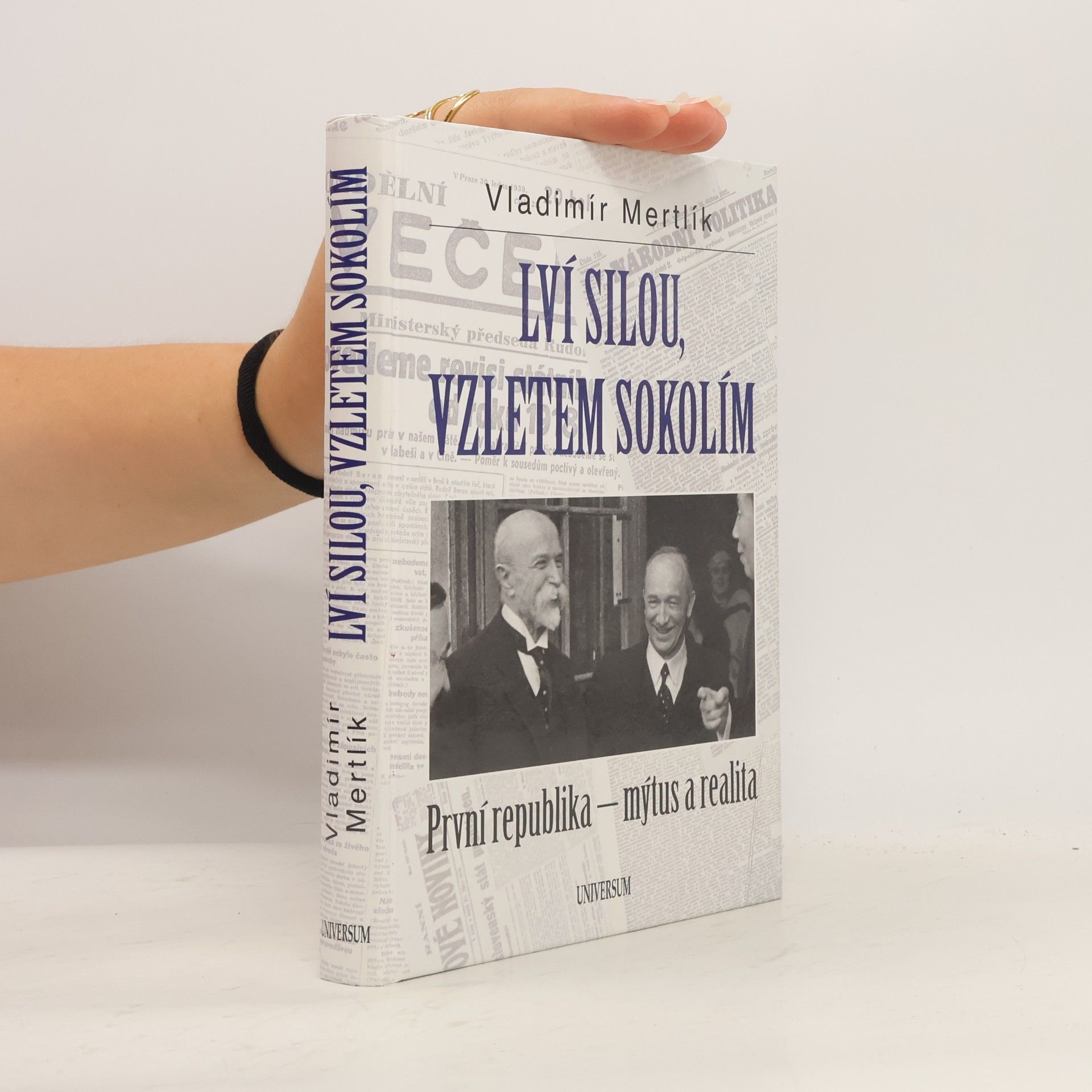 Vladimír Mertlík Lví silou, vzletem sokolím. První republika - mýtus a realita
