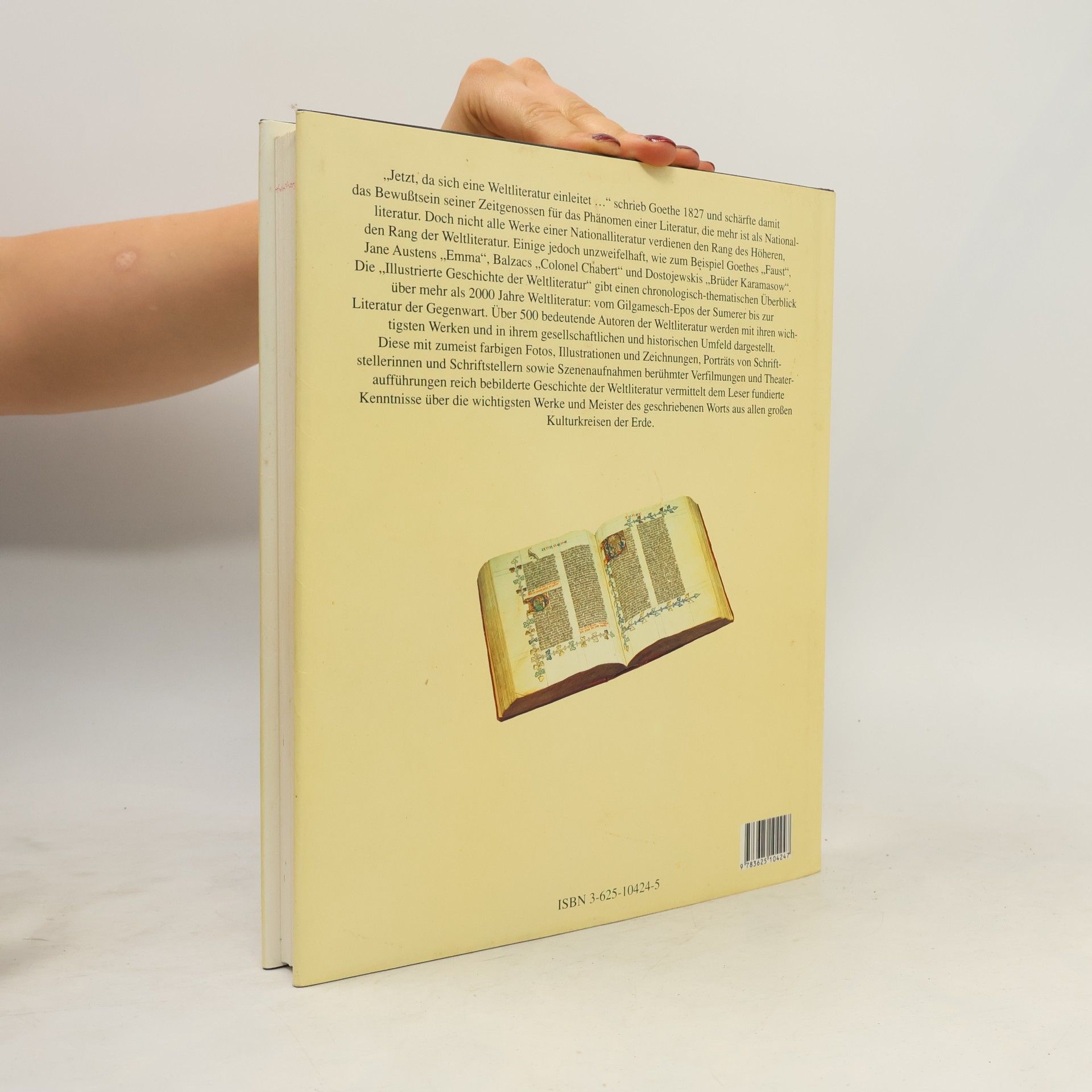 Tore Zetterholm Illustrierte Geschichte der Weltliteratur