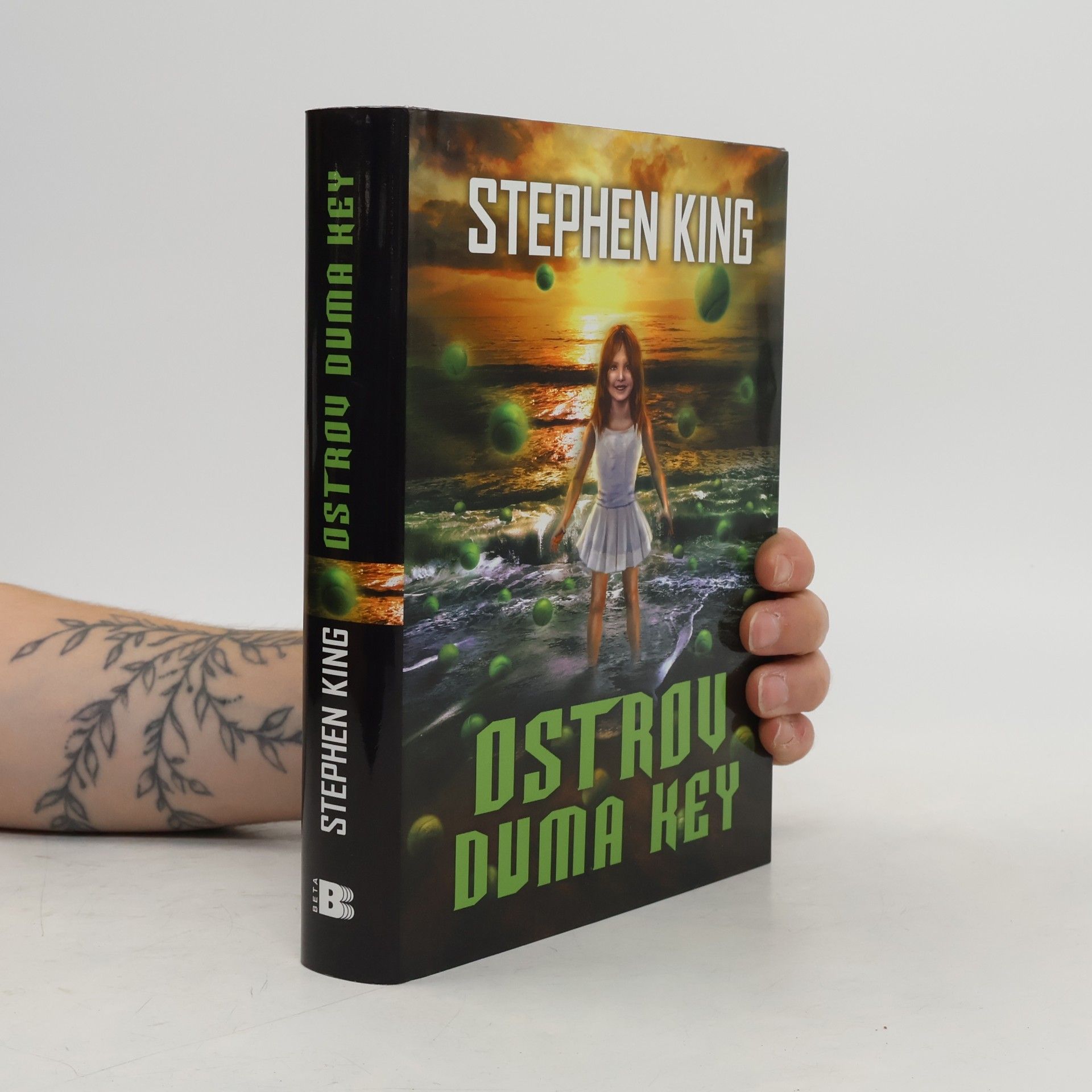 Stephen King Ostrov Duma Key