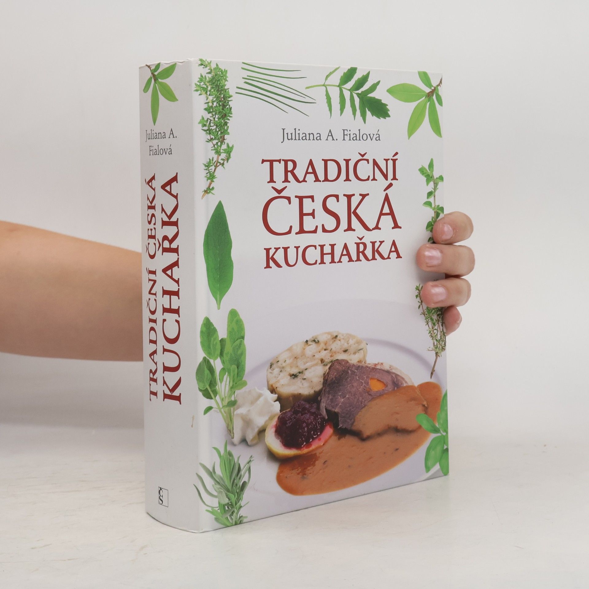 Tradiční česká kuchařka