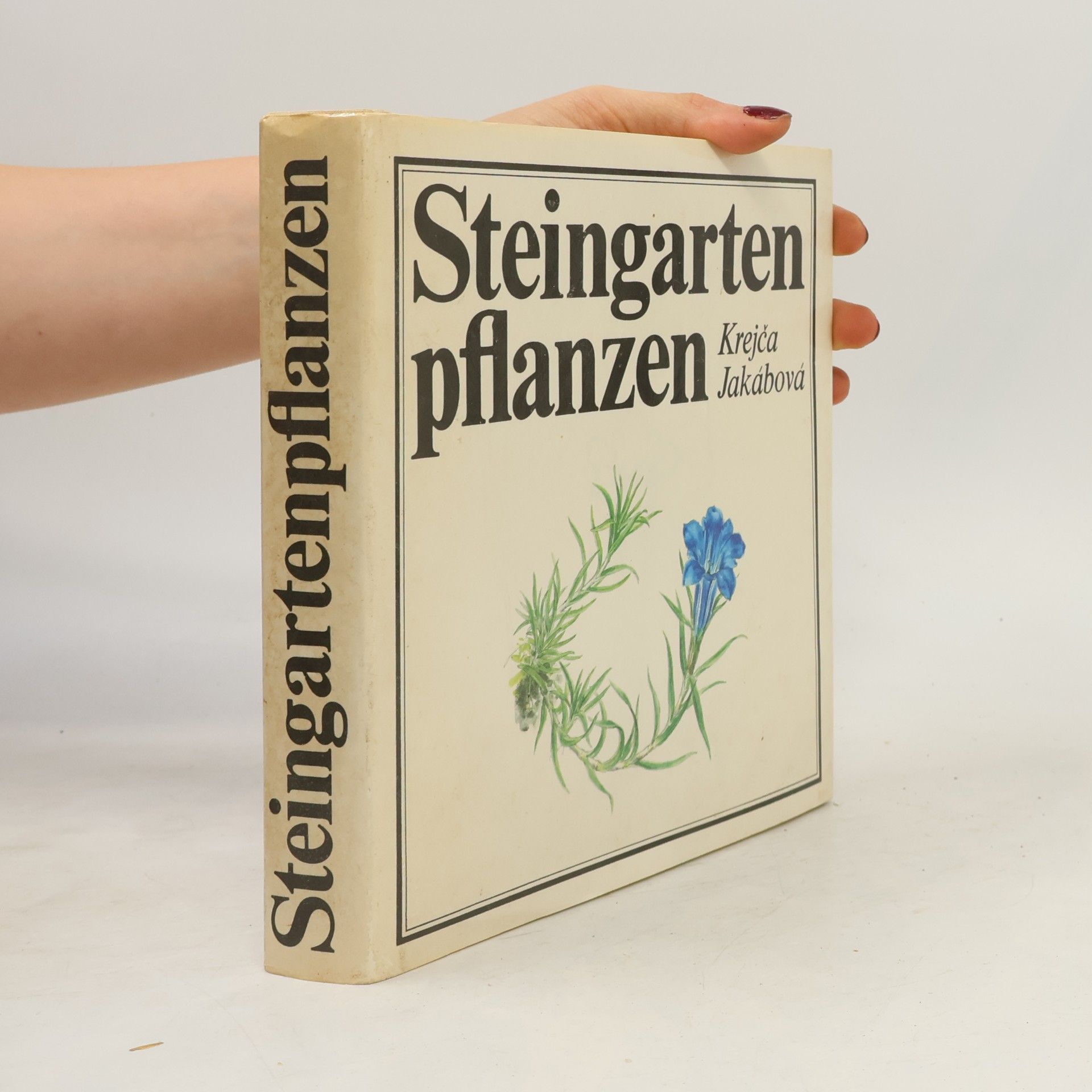 Steingarten pflanzen