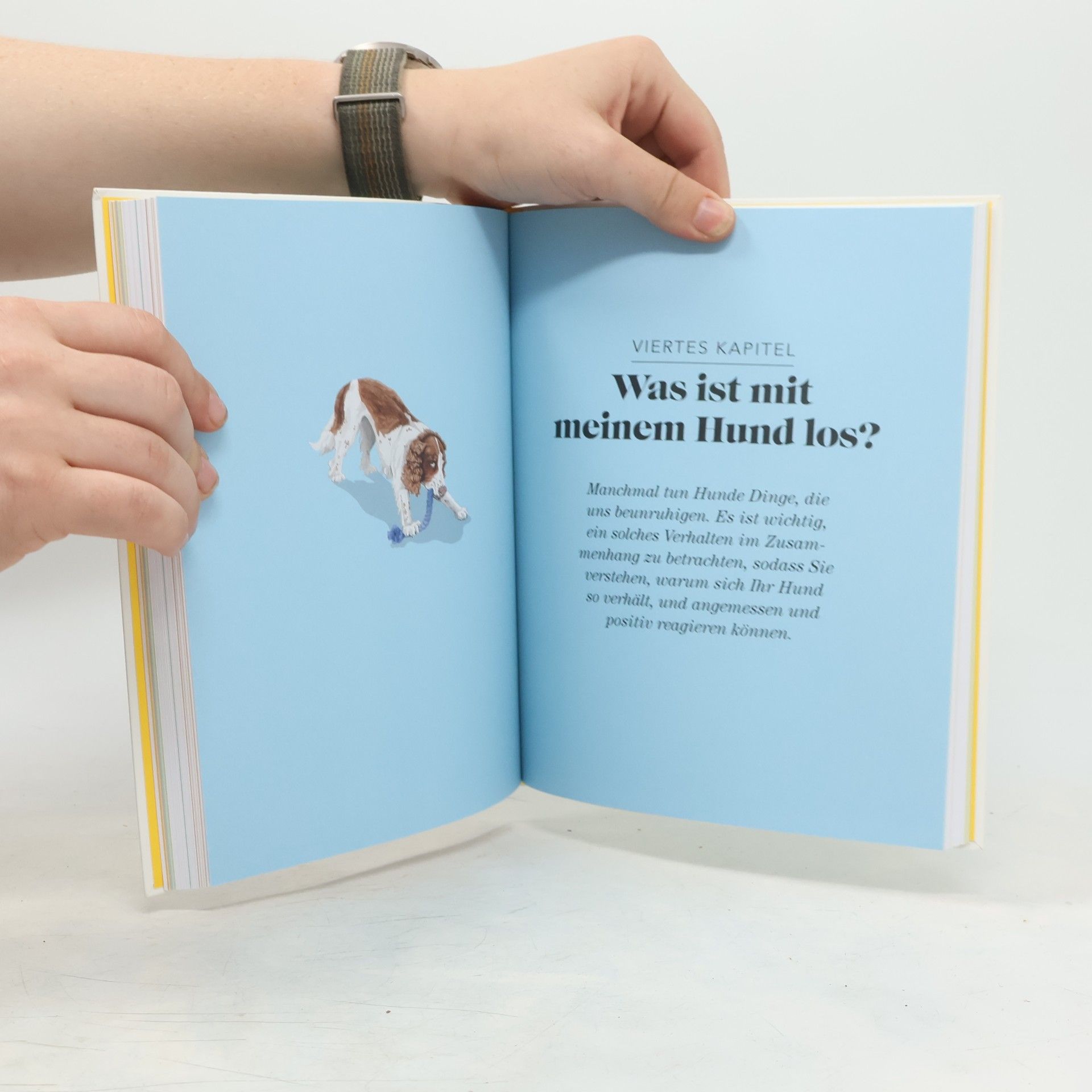 Hannah Molloy Das denkt dein Hund