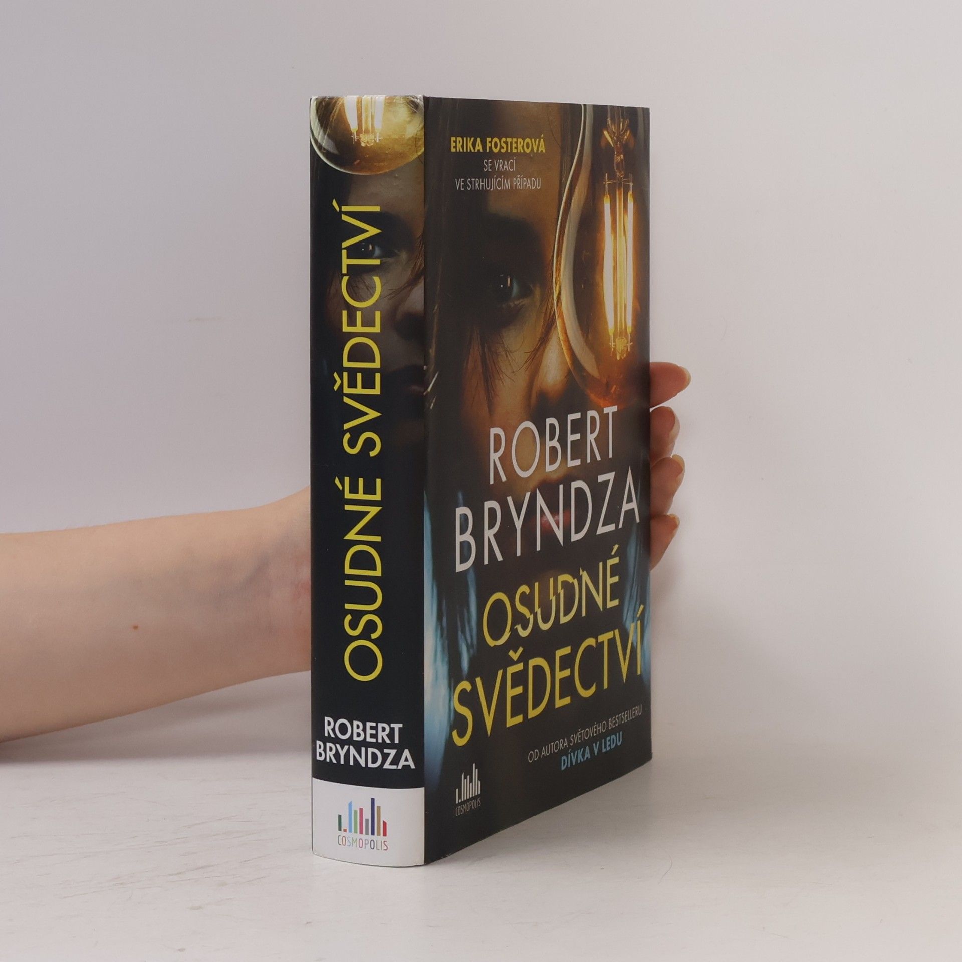 Robert Bryndza Osudné svědectví