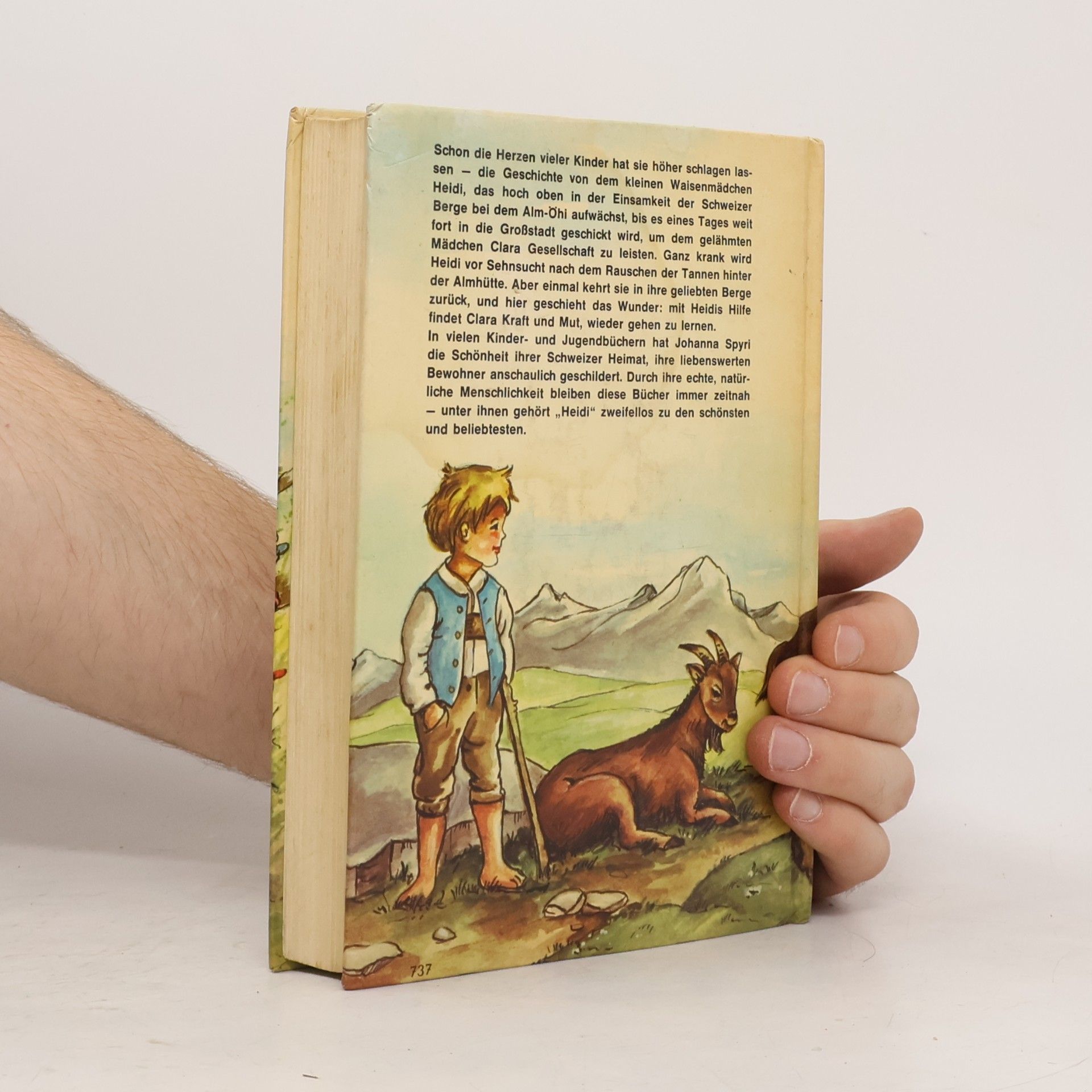 Johanna Spyri Das Grosse Heidi-Buch