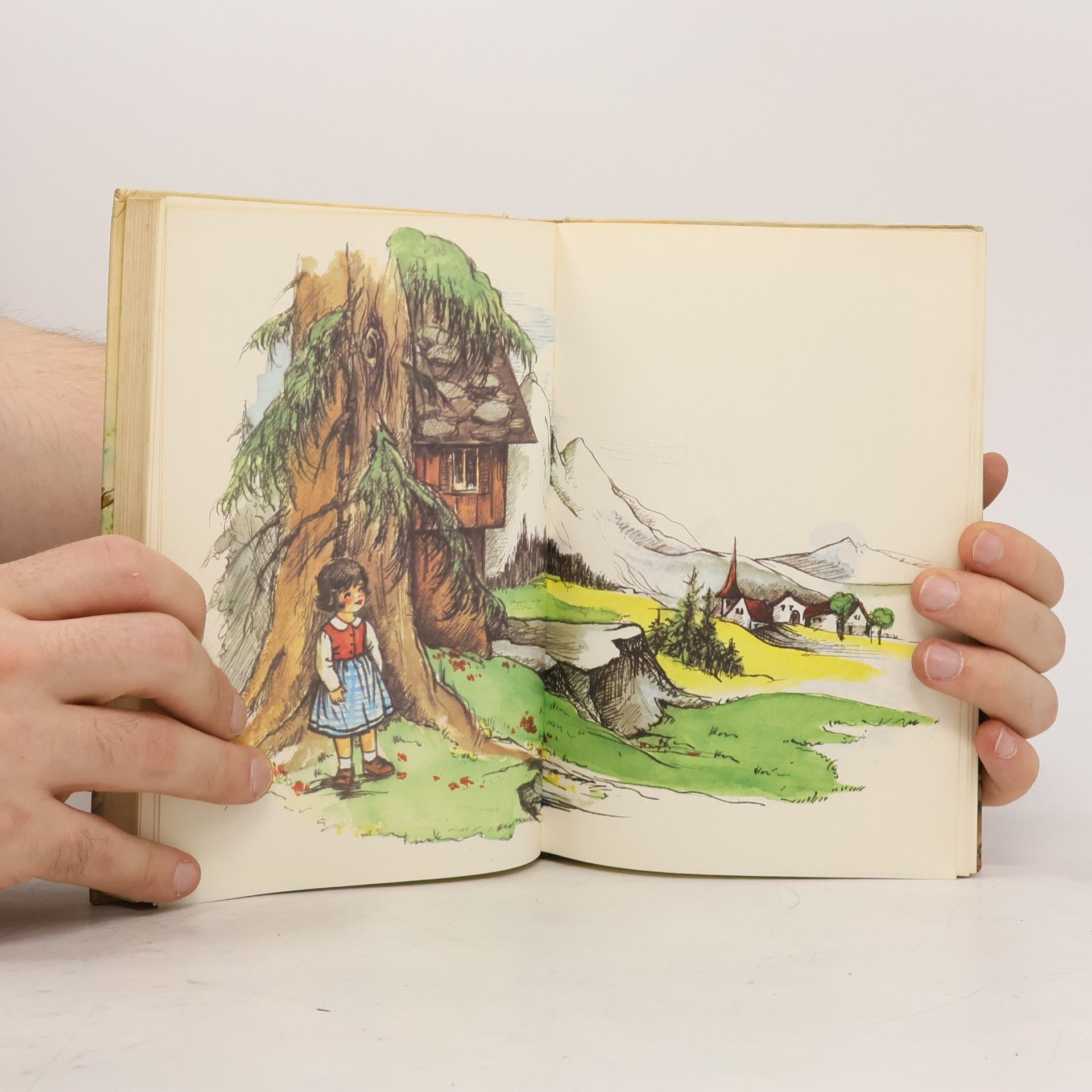 Johanna Spyri Das Grosse Heidi-Buch