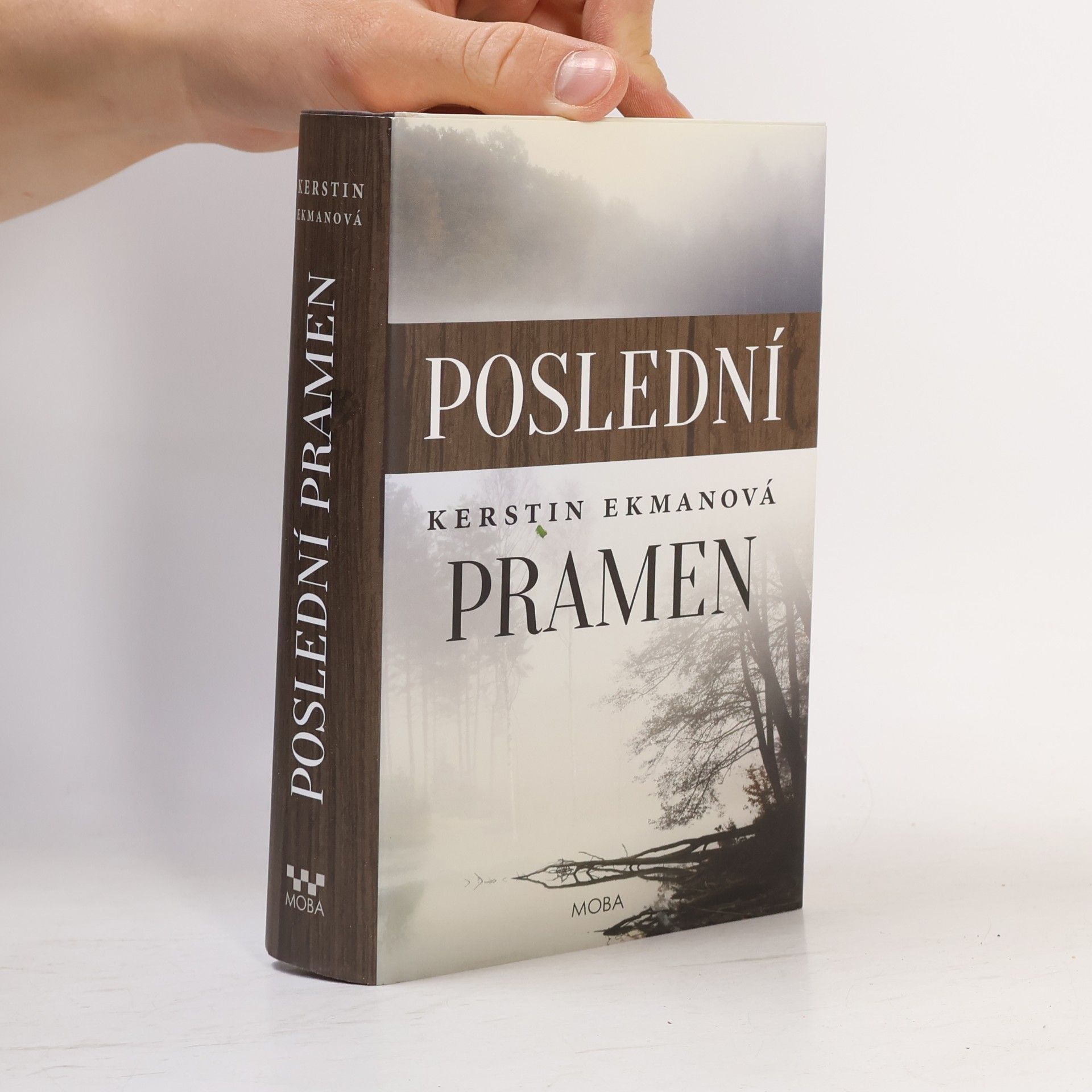 Kerstin Ekman Poslední pramen