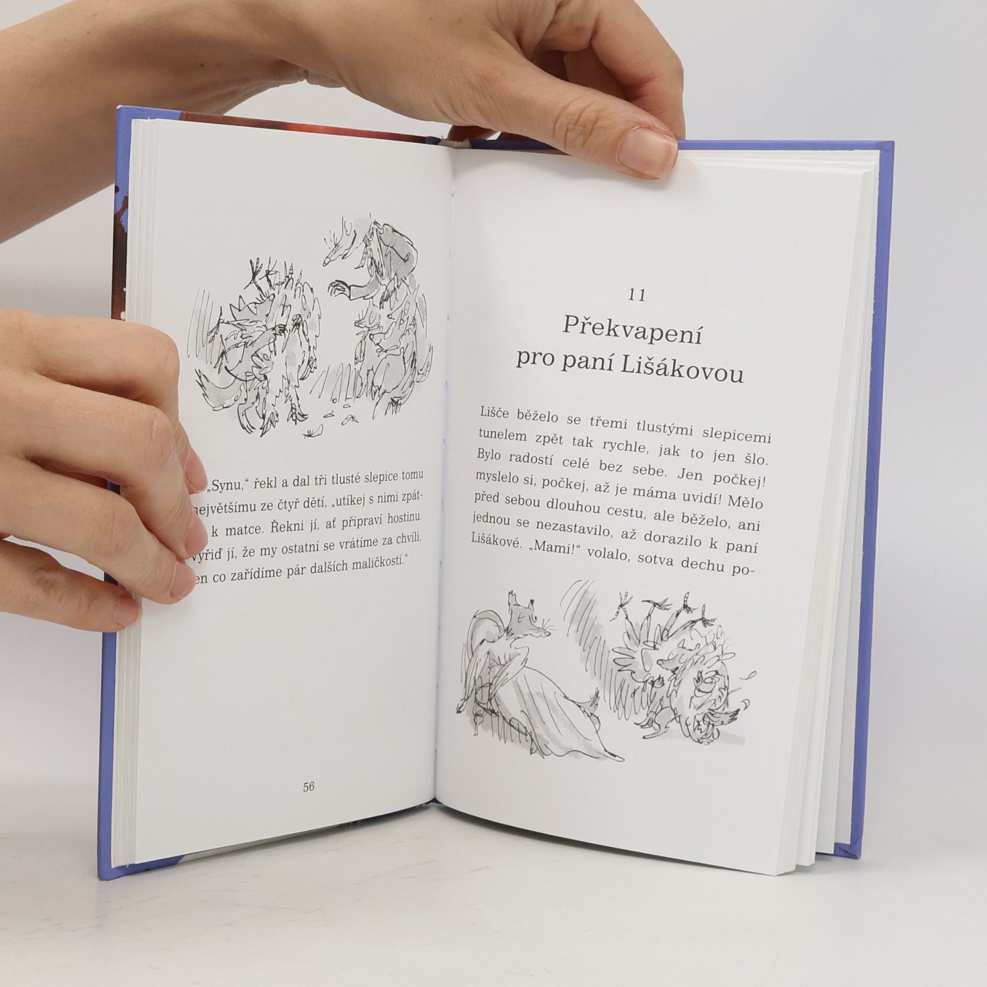 Roald Dahl Fantastický pan Lišák