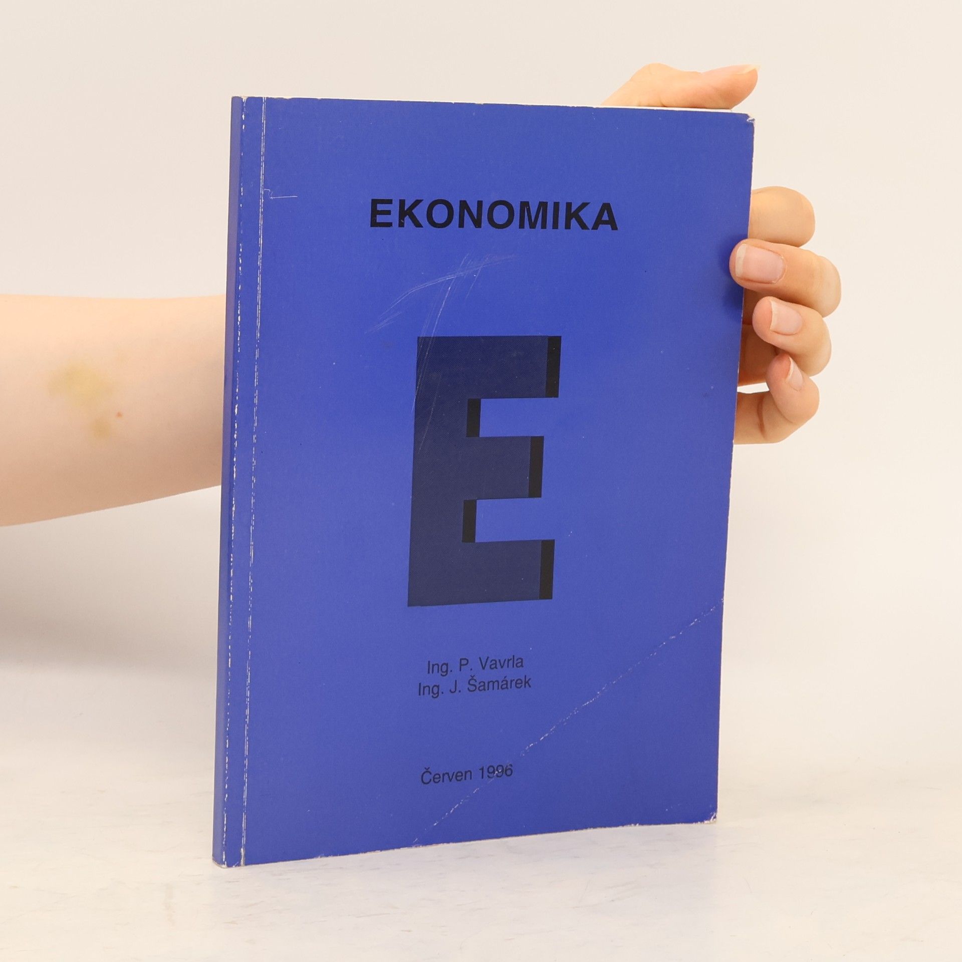 Pavel Vavrla Ekonomika