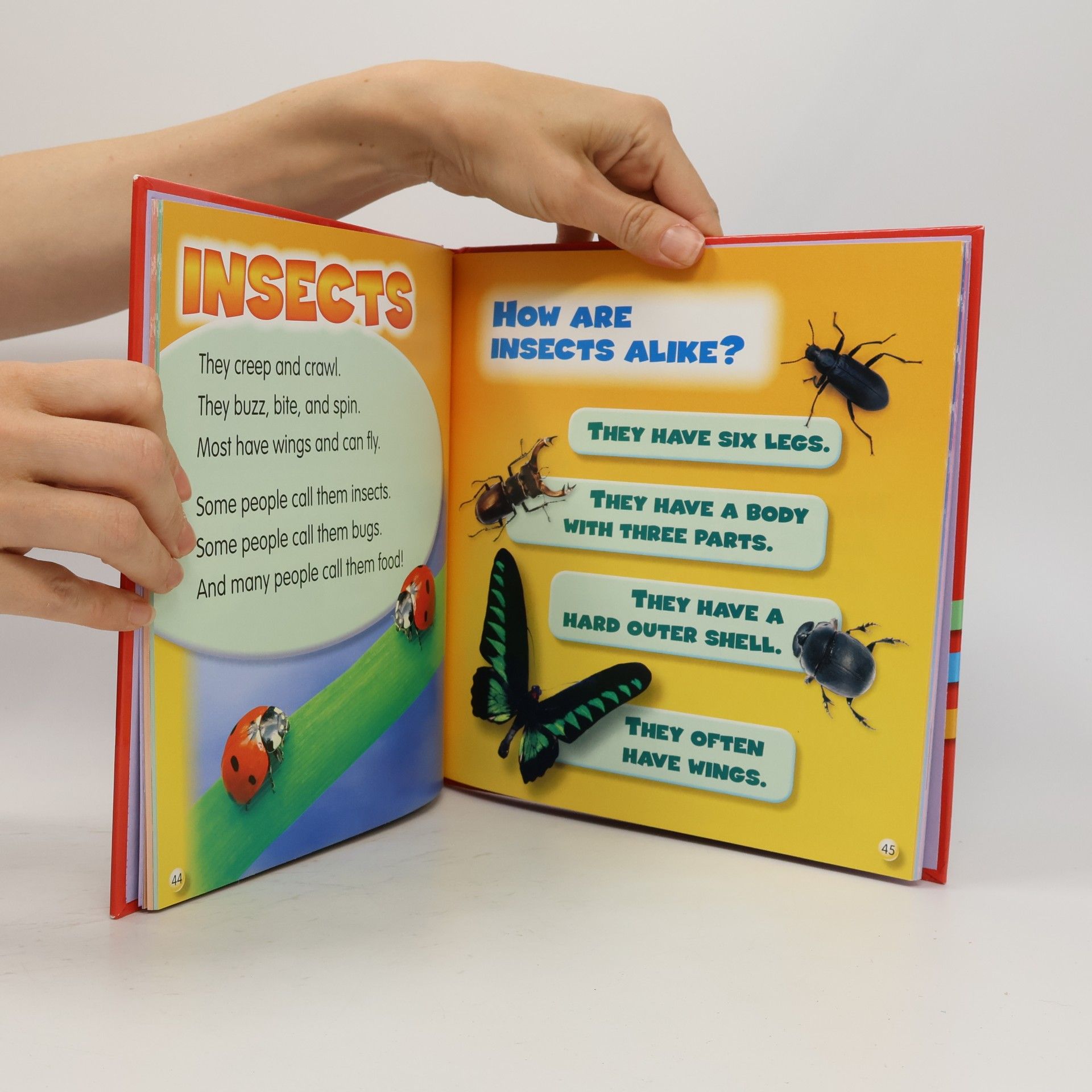 Mark Shulman TIME for Kids: X-Why-Z Animals