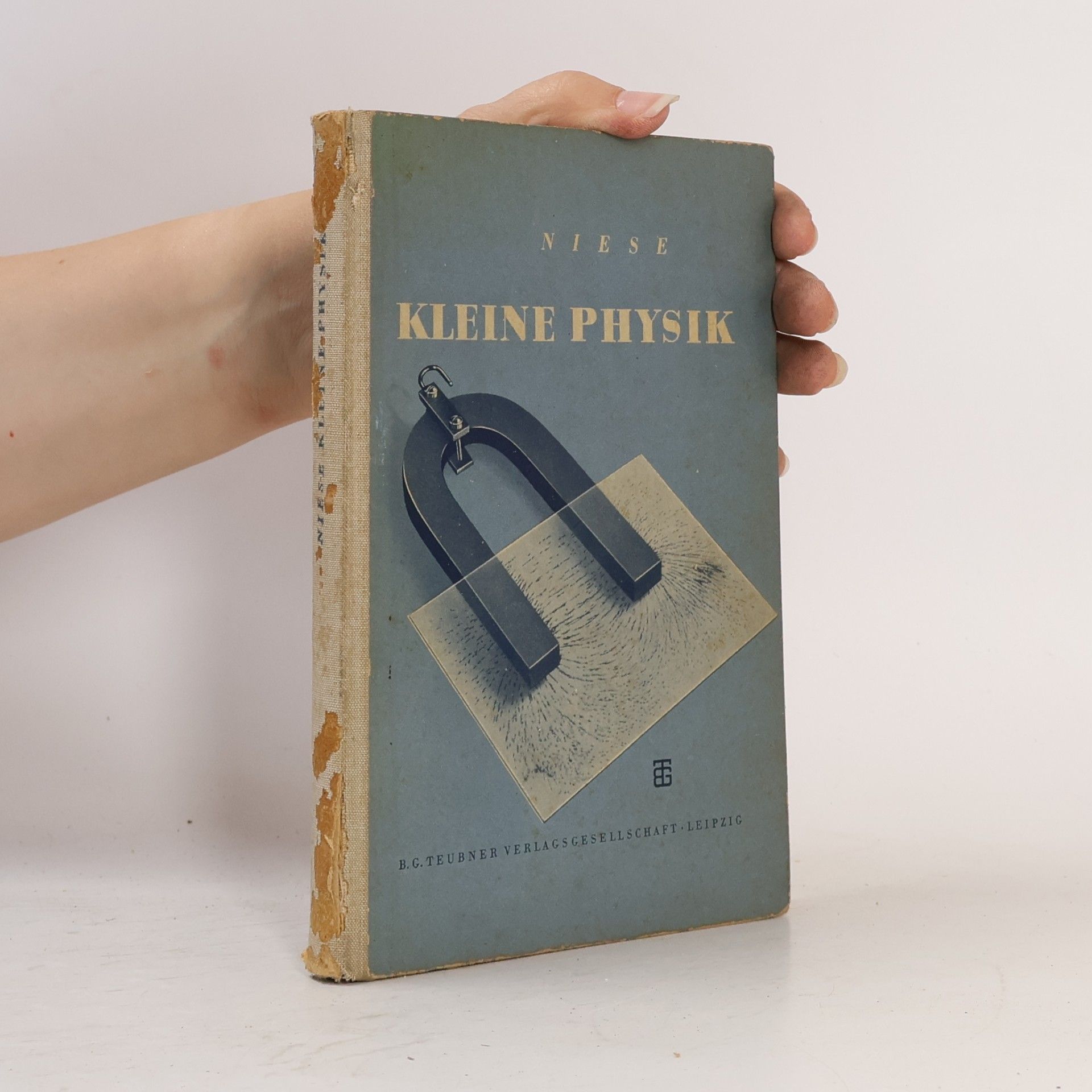 Autorenkollektiv Niese Kleine Physik