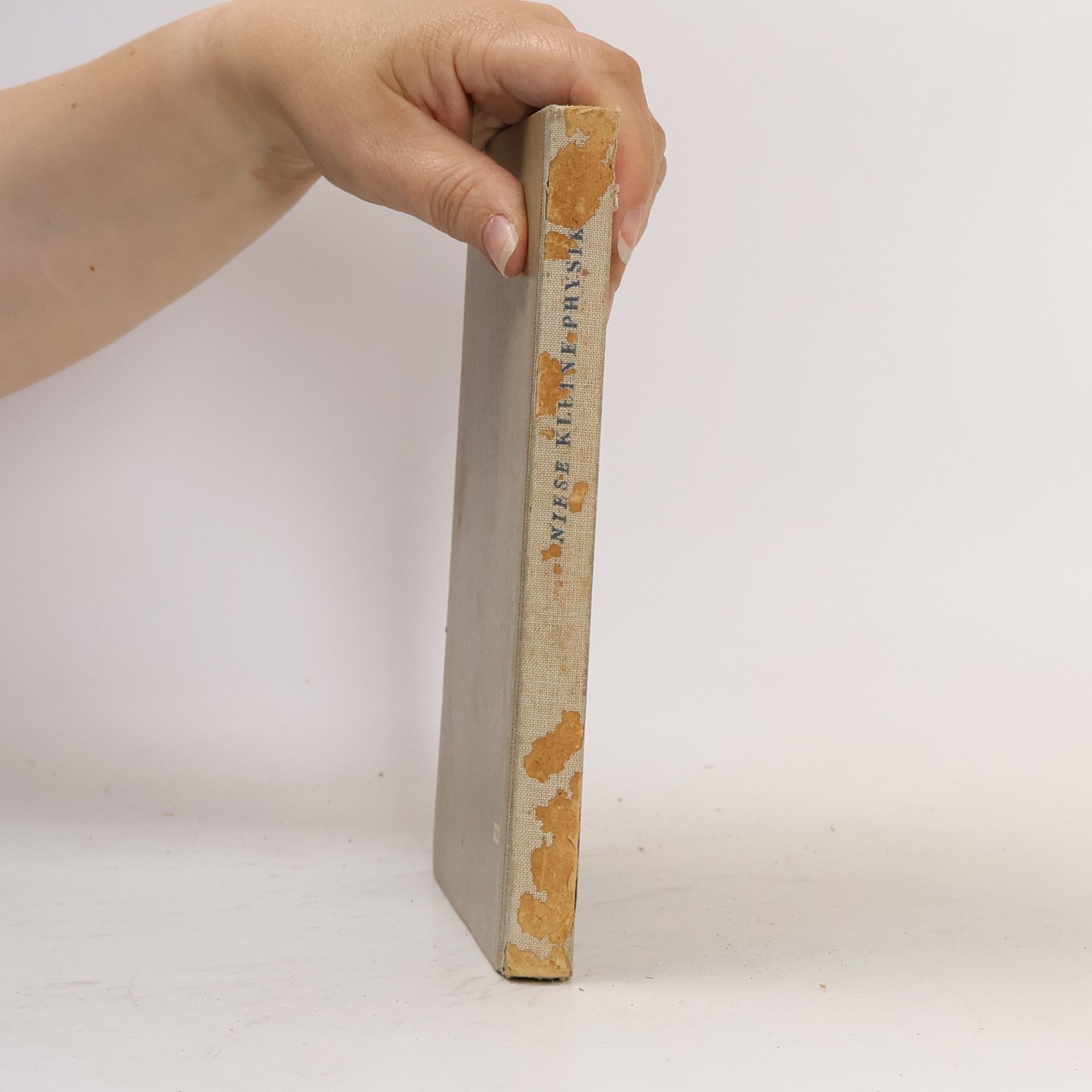 Autorenkollektiv Niese Kleine Physik