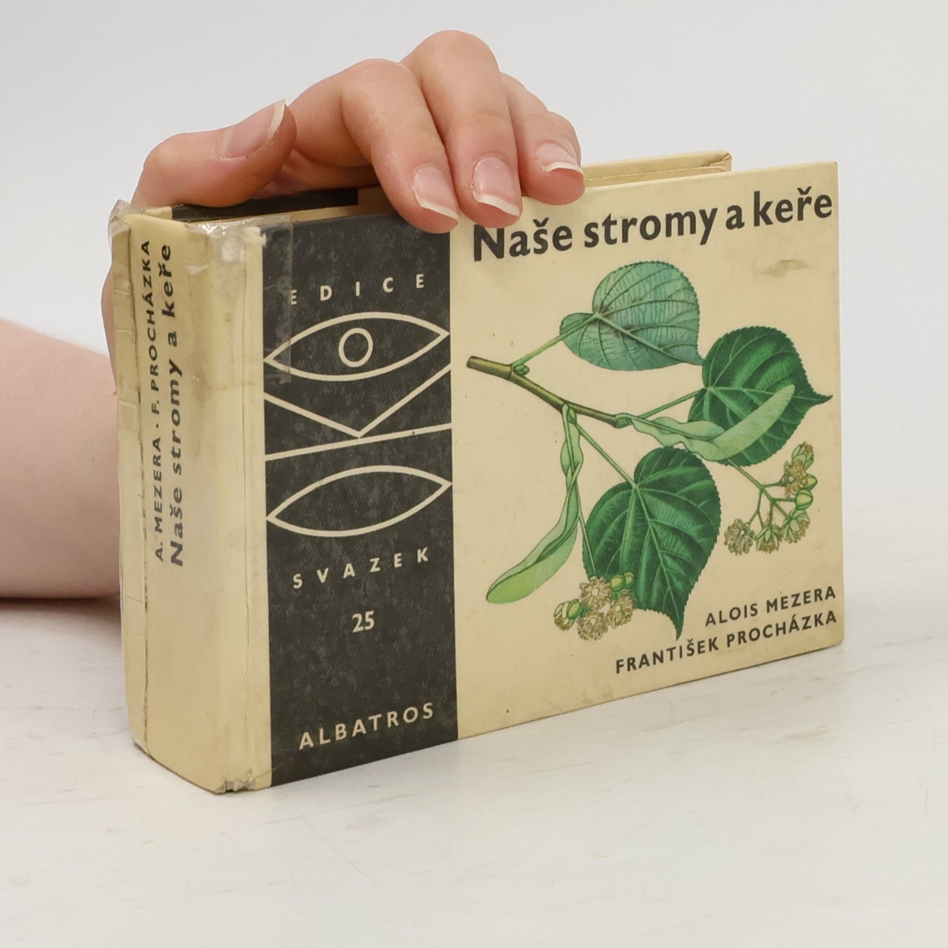 Alois Mezera Naše stromy a keře