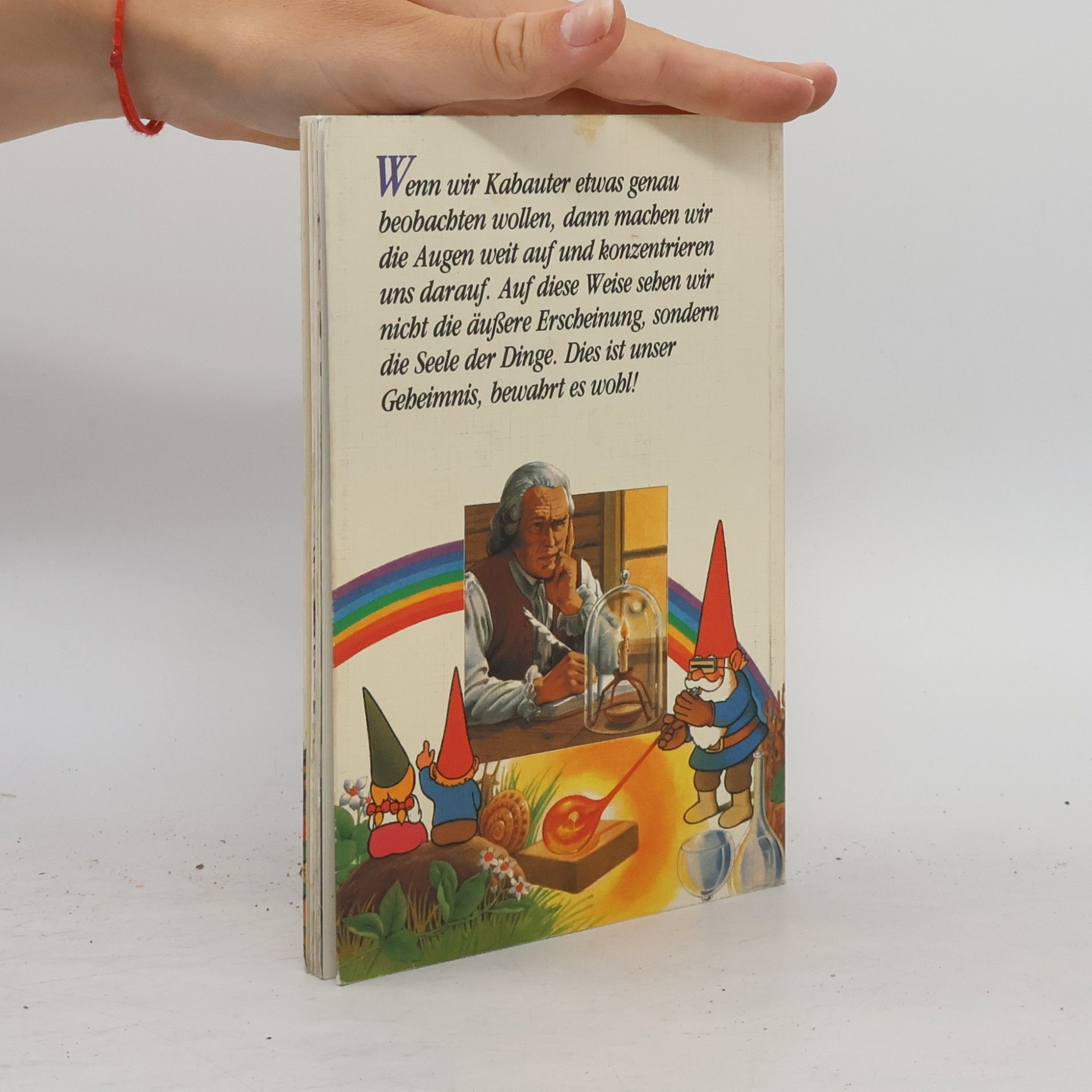 David Der Kabauter Das geheime Buch der Kabauter 7