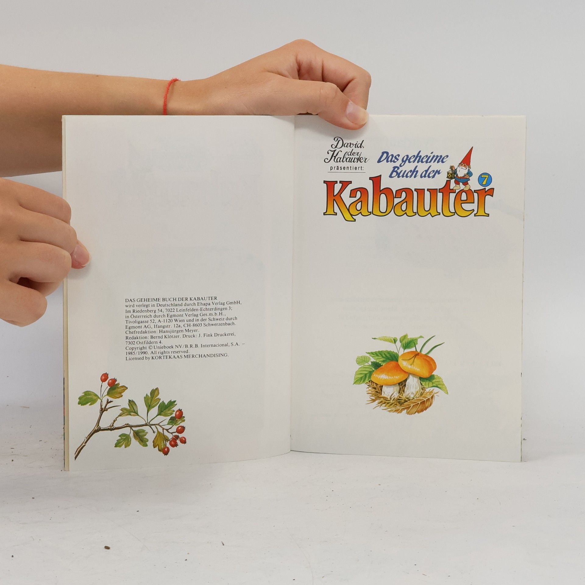David Der Kabauter Das geheime Buch der Kabauter 7