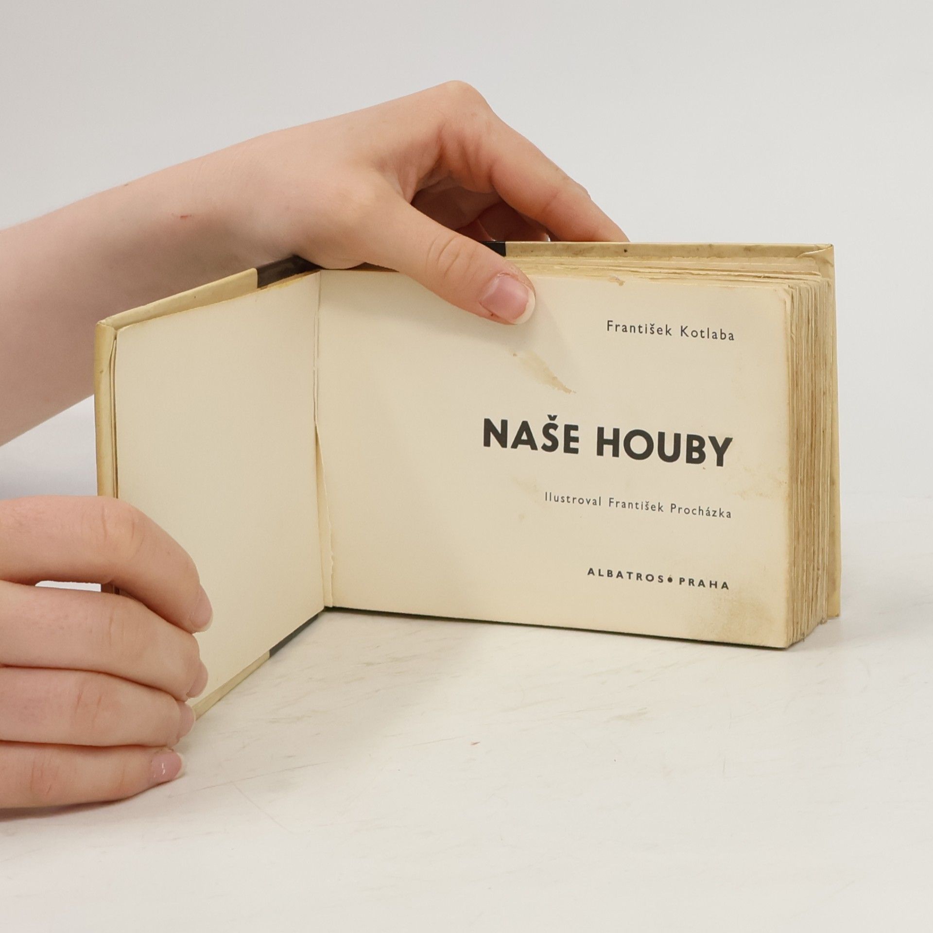 František Kotlaba Naše houby