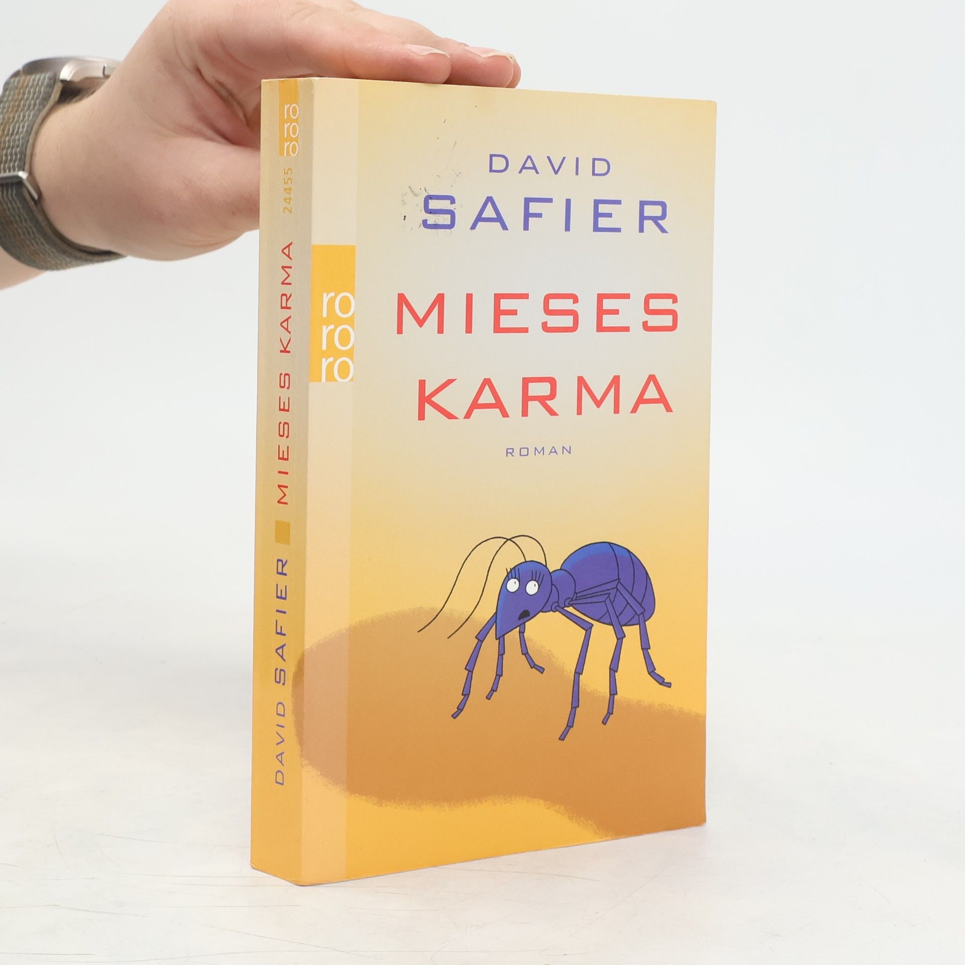 David Safier Mieses Karma