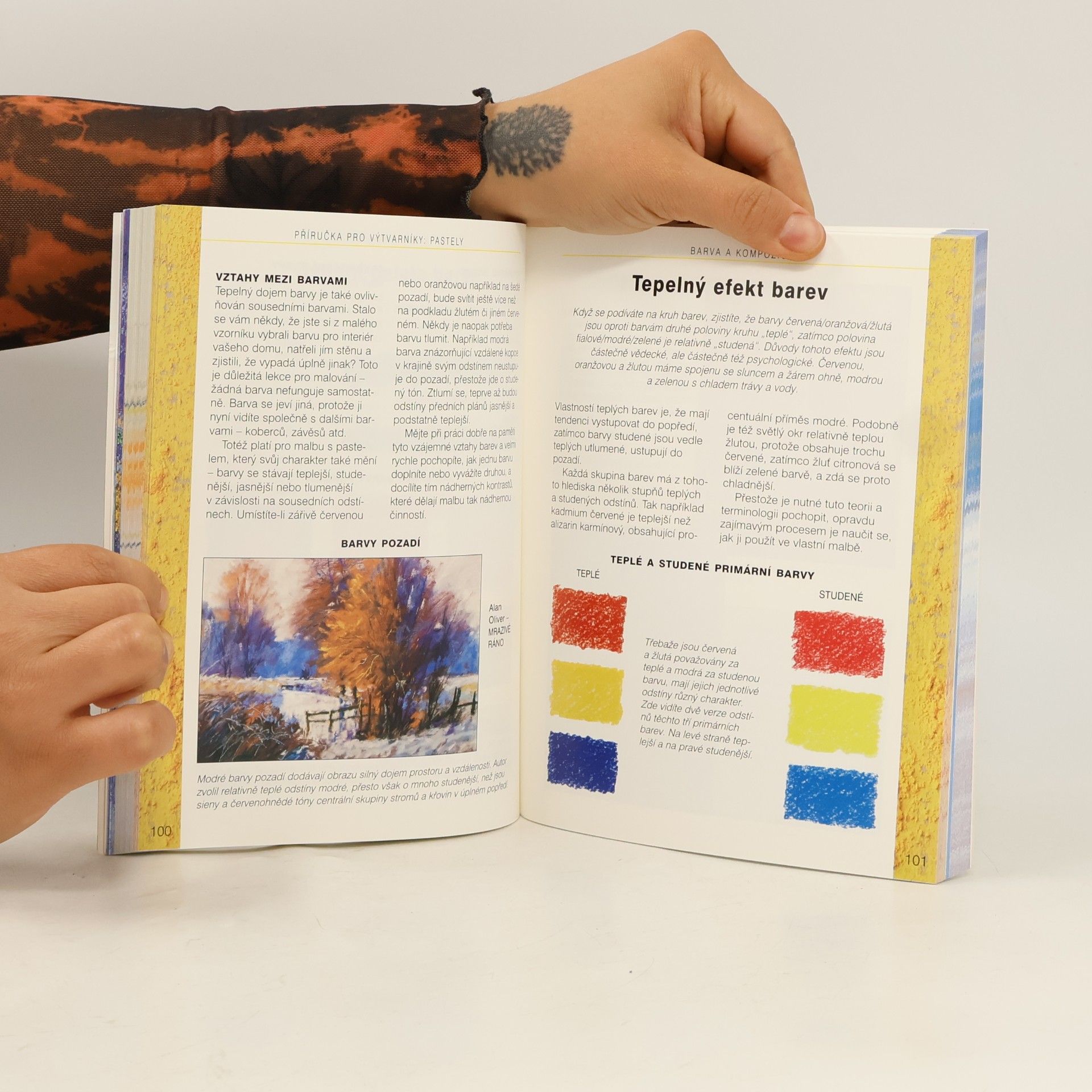 Various authors Pastely: Příručka pro výtvarníky