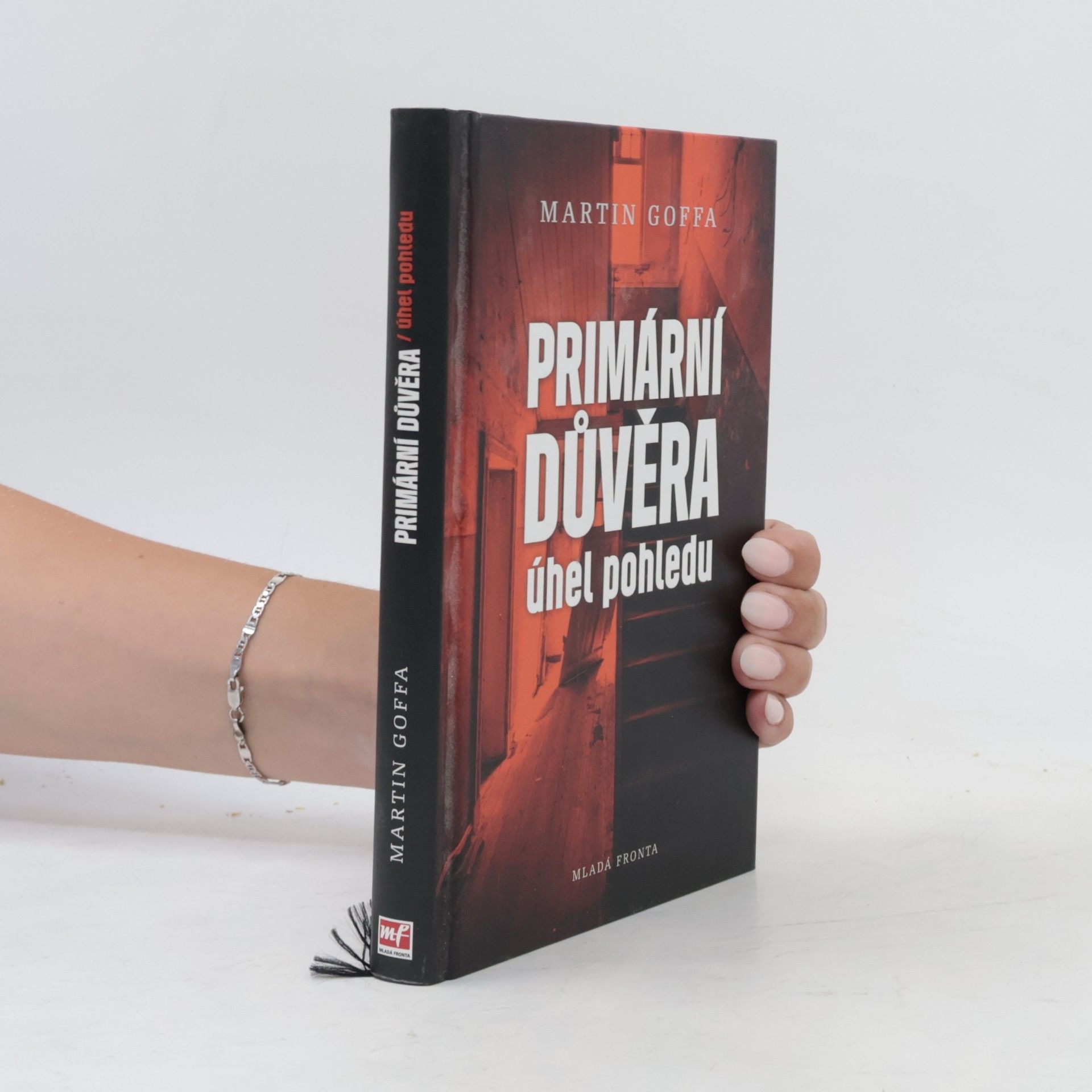 Martin Goffa Primární důvěra - úhel pohledu