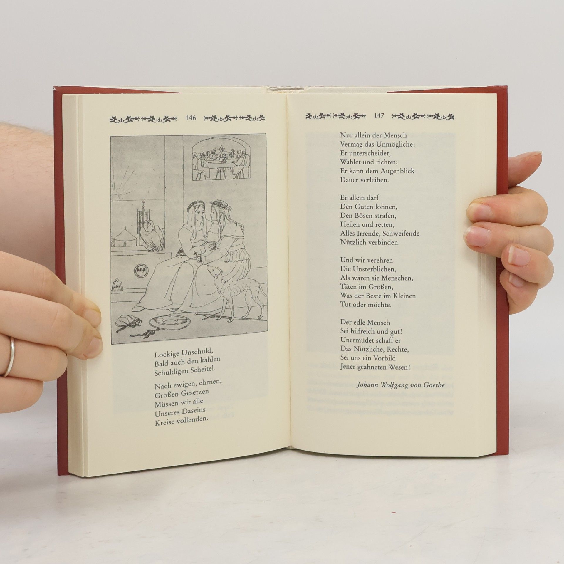 Dorothee Fetzer Brevier des Glücks