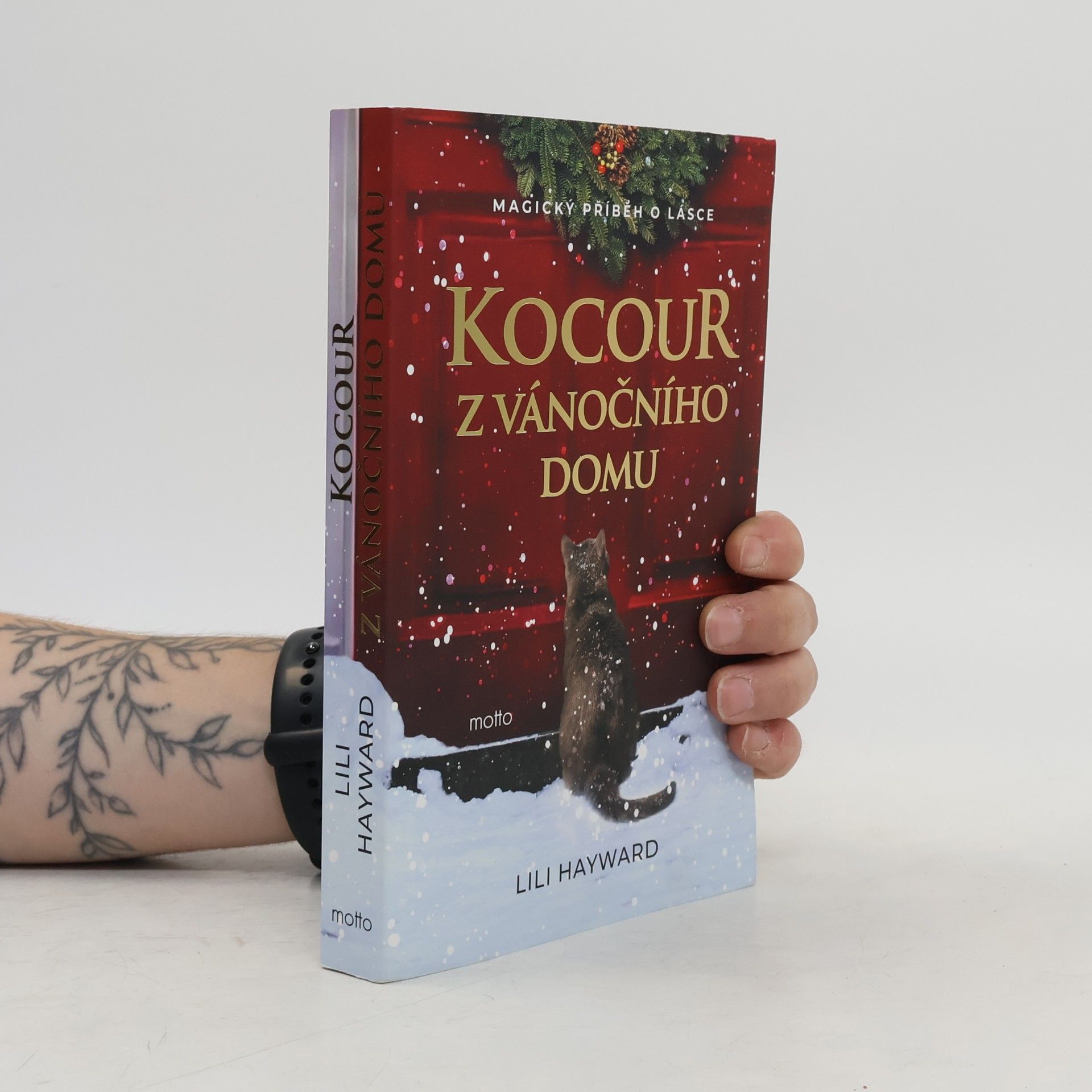Kocour z vánočního domu