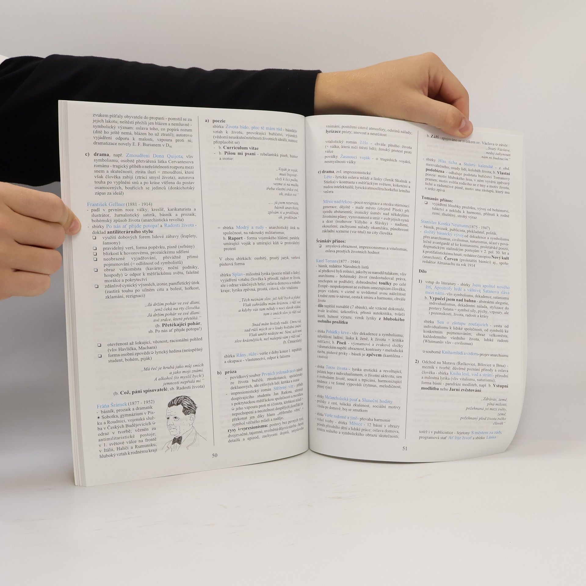Marie Sochrová Literatura v kostce: Pro střední školy