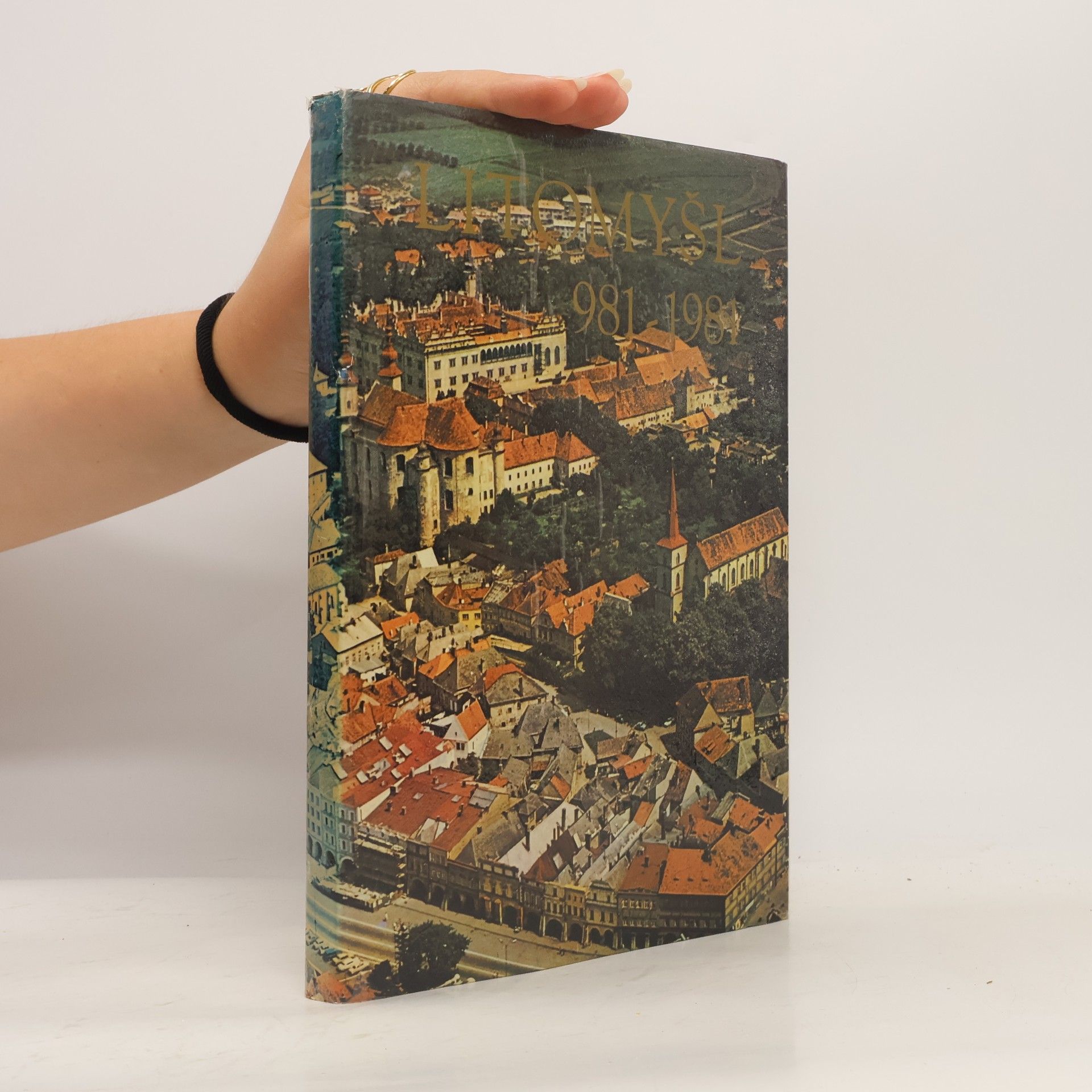 Jindřich Růžička Litomyšl 981-1981