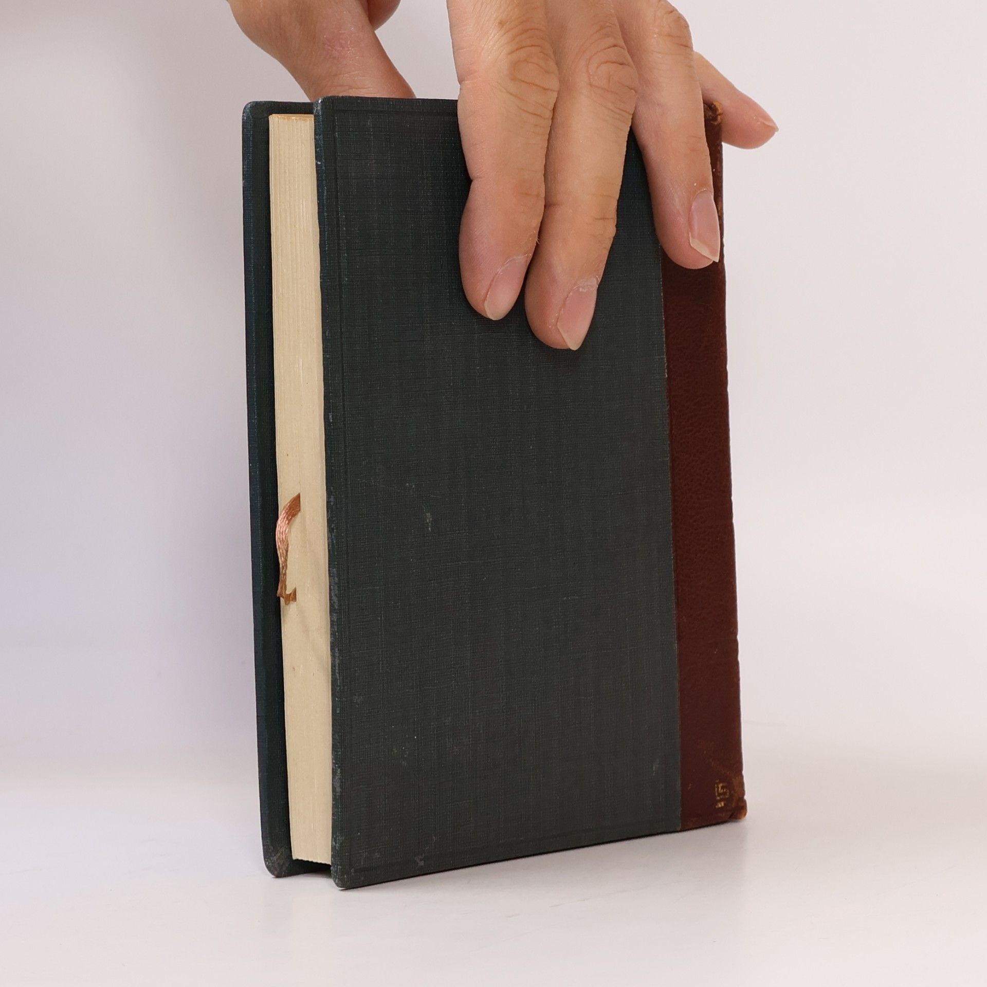 Søren Kierkegaard Okamžik