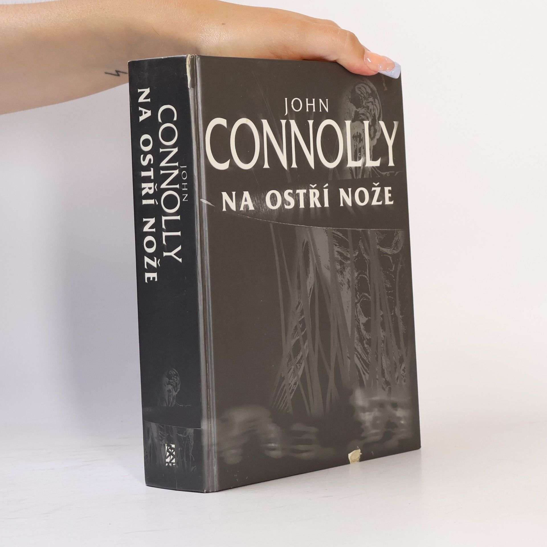 John Connolly Na ostří nože