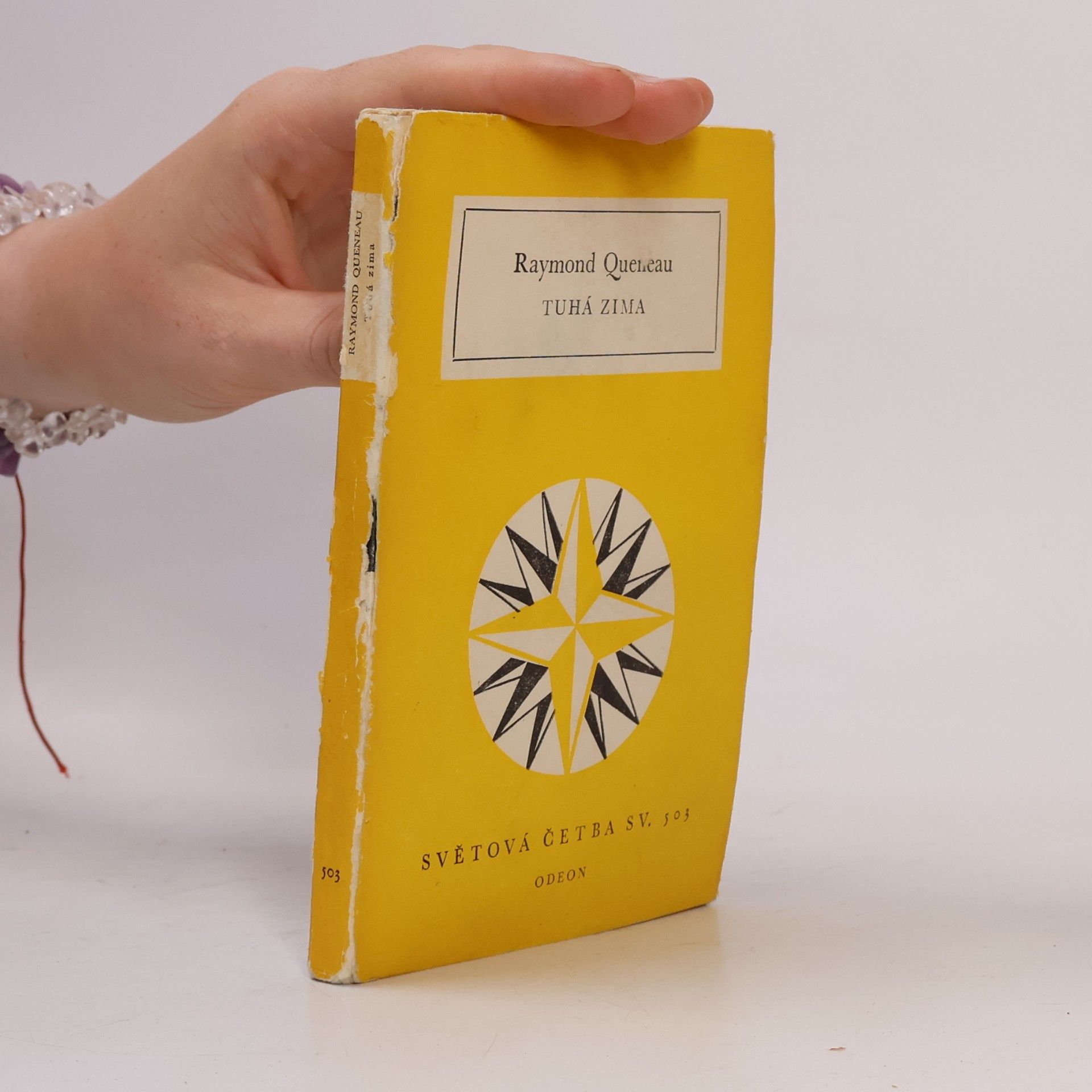 Raymond Queneau Tuhá zima