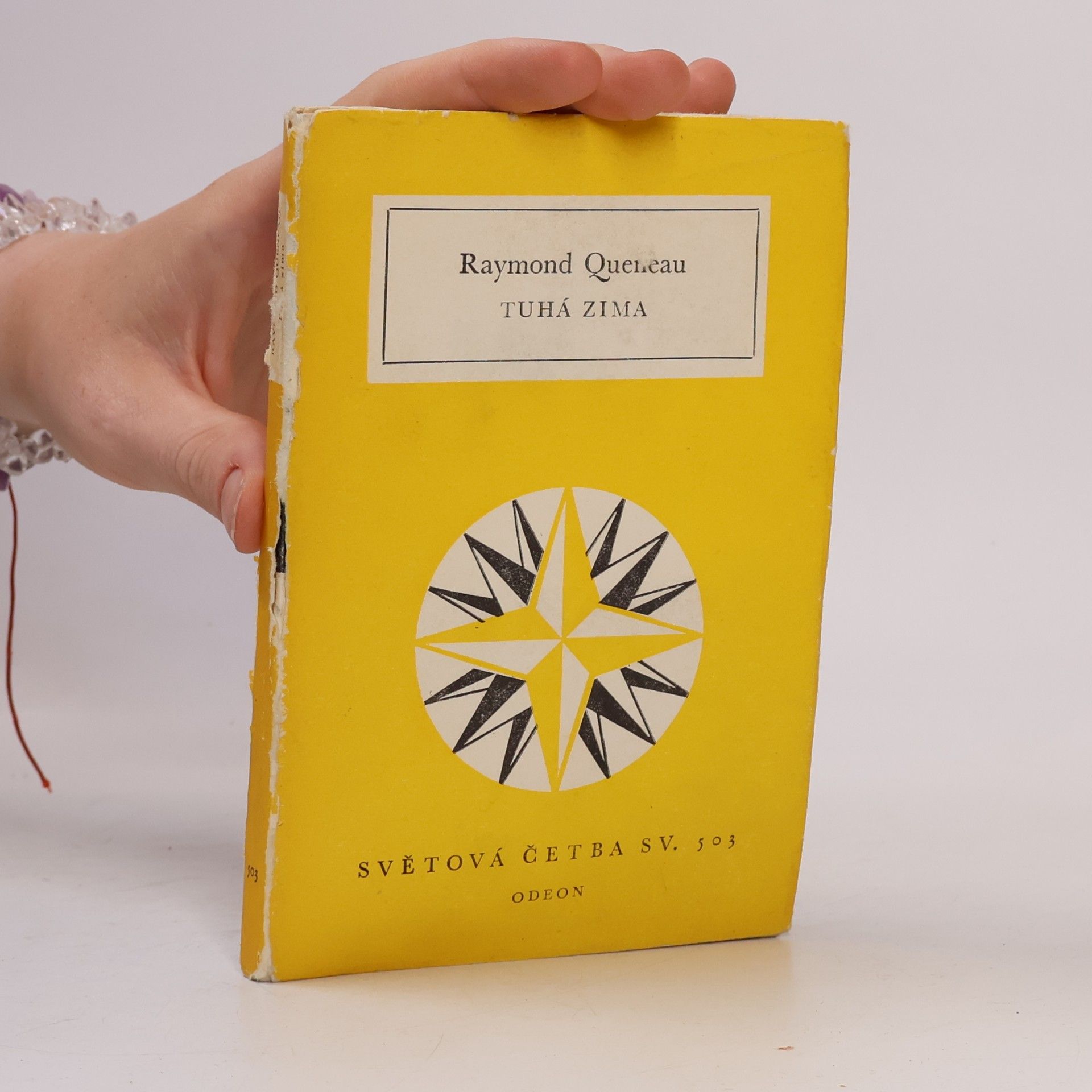 Raymond Queneau Tuhá zima