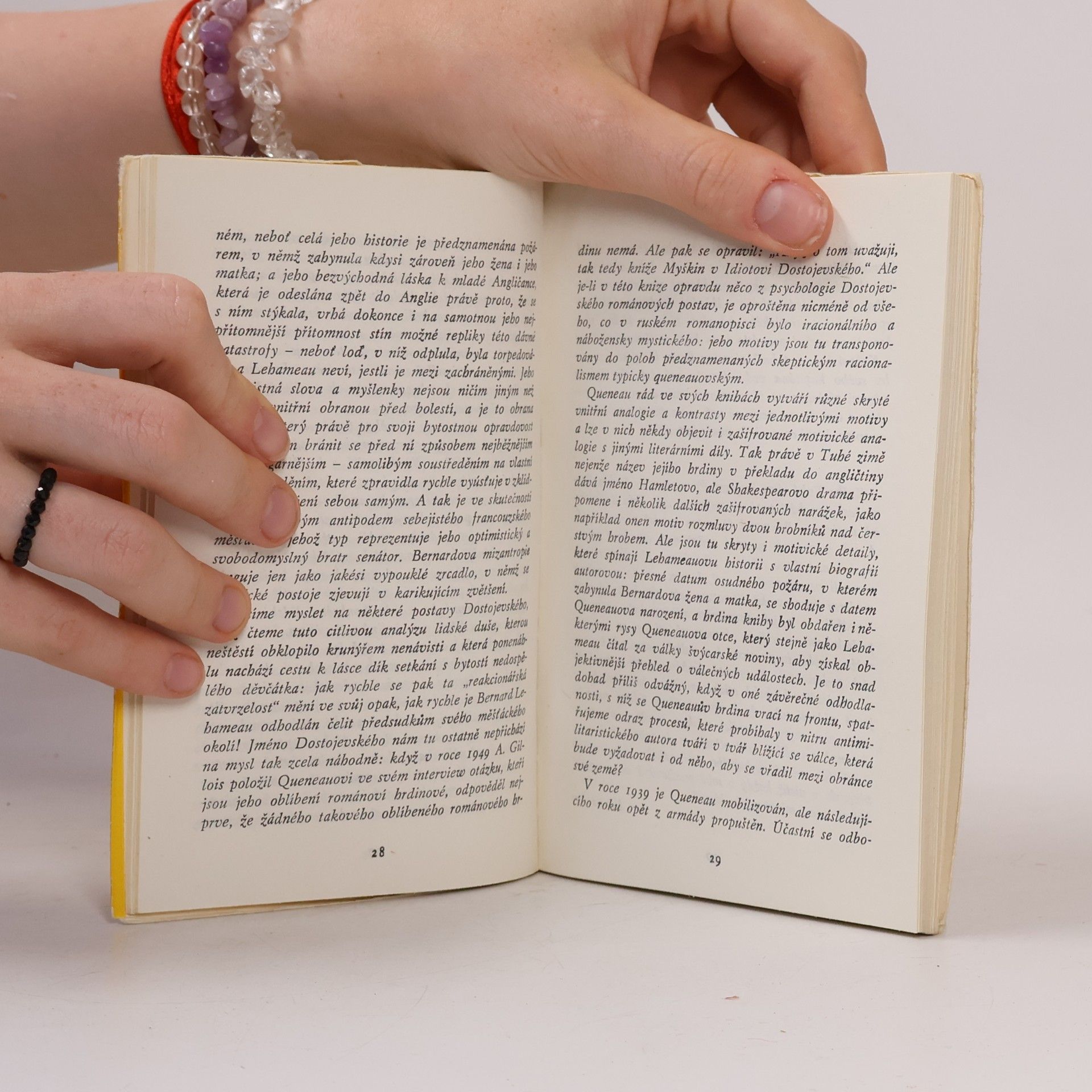 Raymond Queneau Tuhá zima