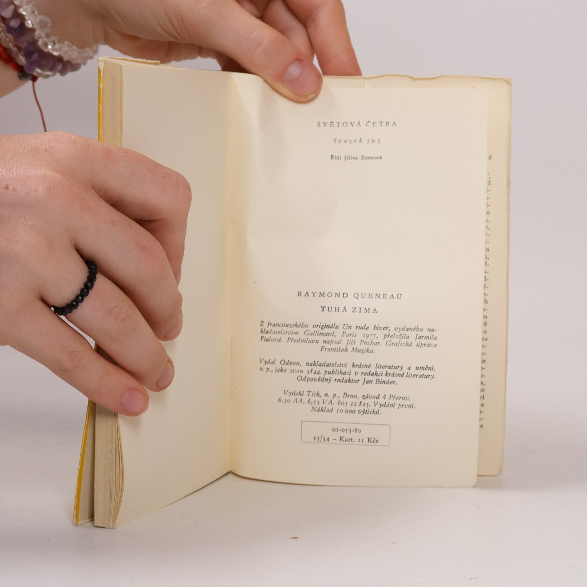 Raymond Queneau Tuhá zima