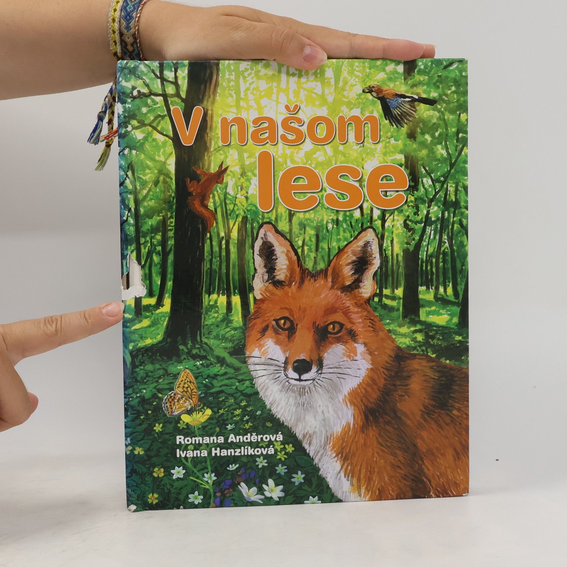 Romana Anděrová V našom lese : [pomôcka na vyučovanie pre 1. stupeň základných škôl