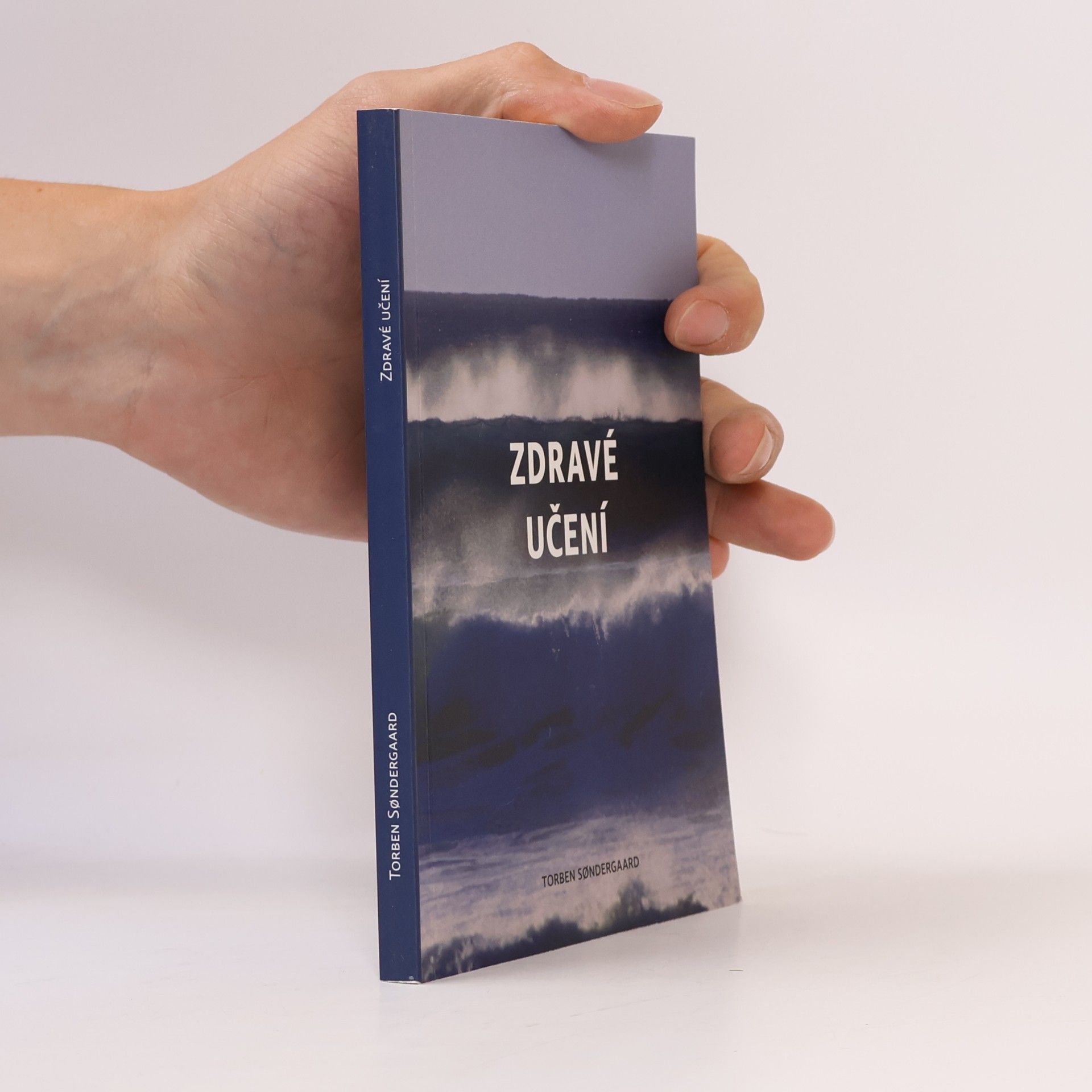 Torben Sondergaard Zdravé učení