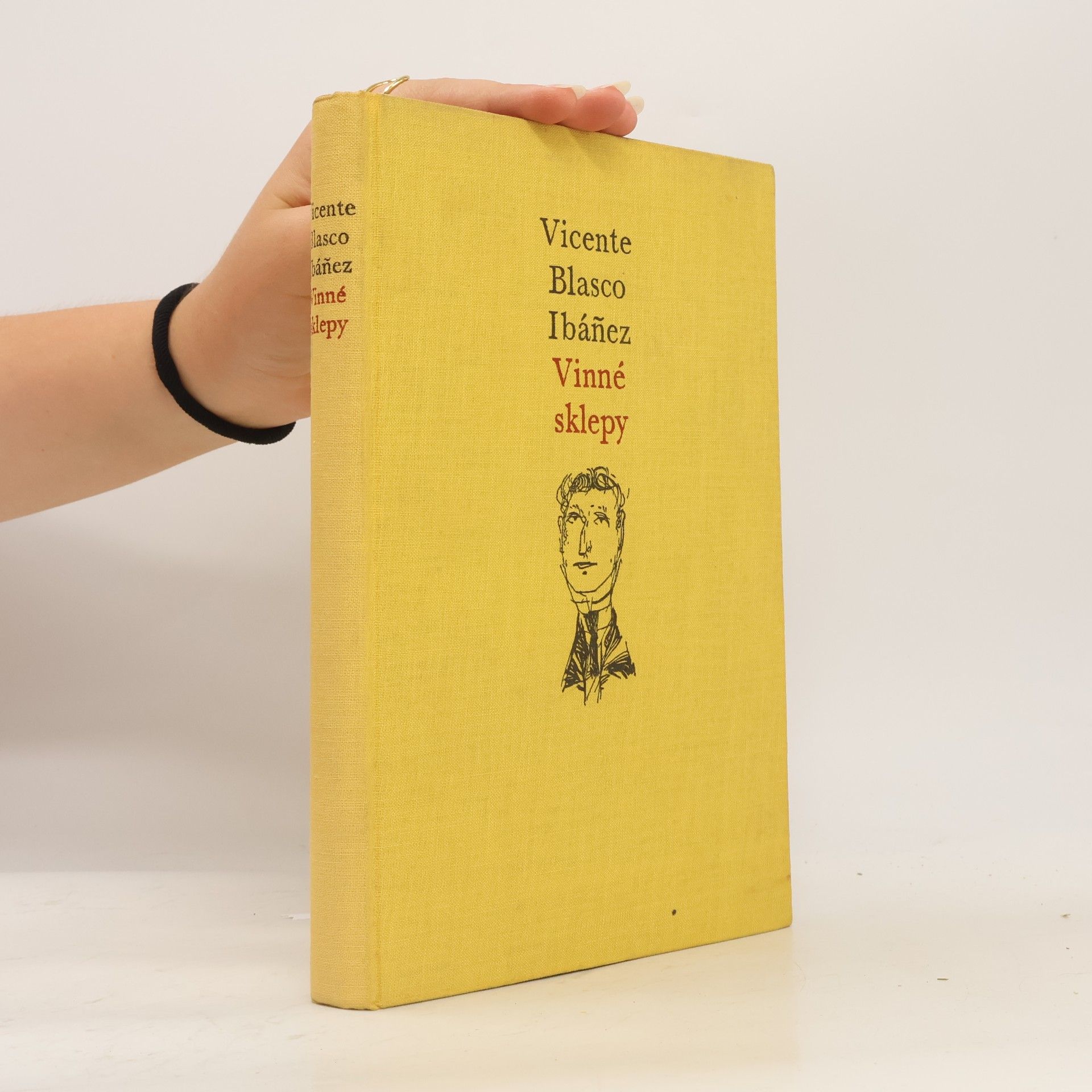 Vincente Blasco Ibánez Vinné sklepy