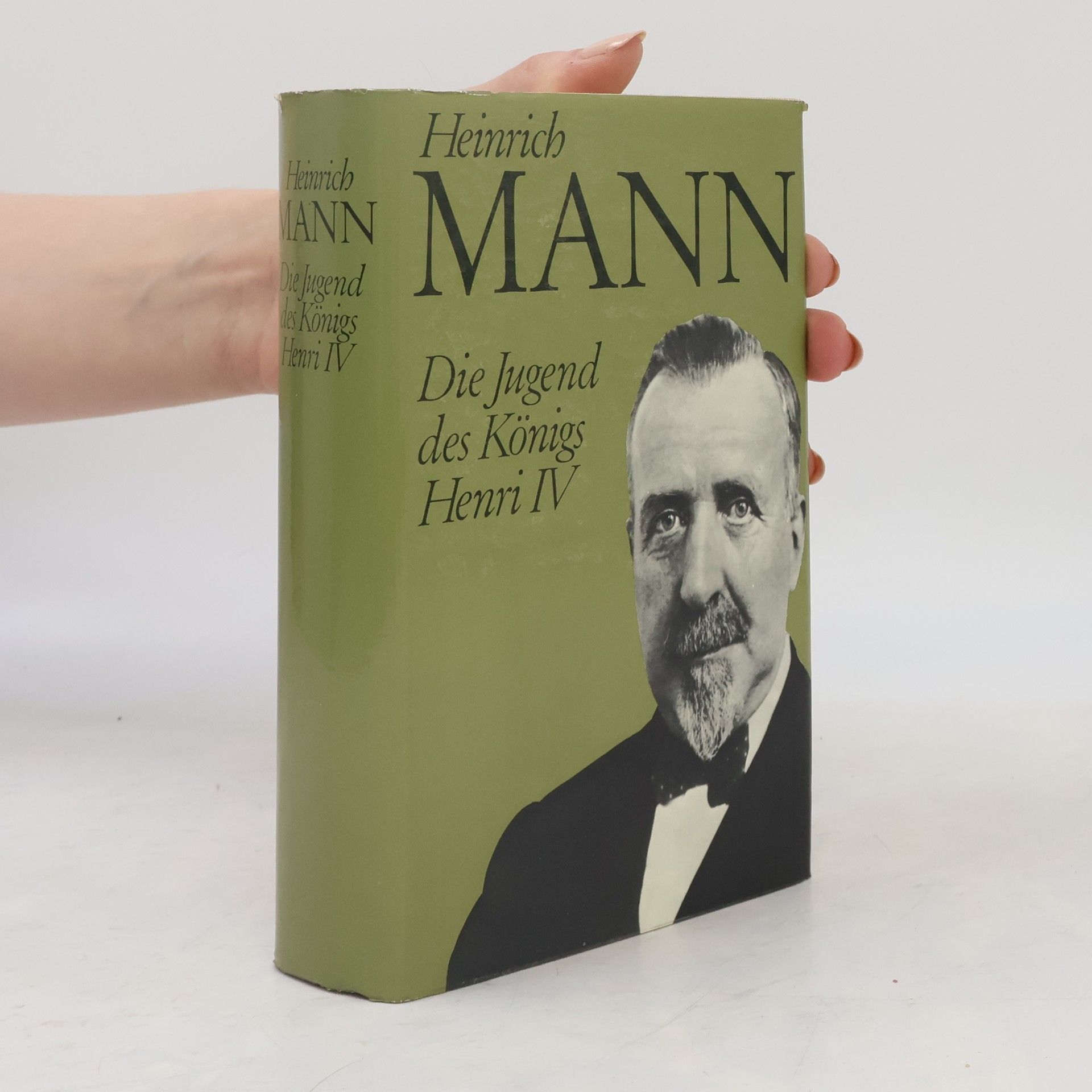 Heinrich Mann Die Jugend des Königs Henri IV