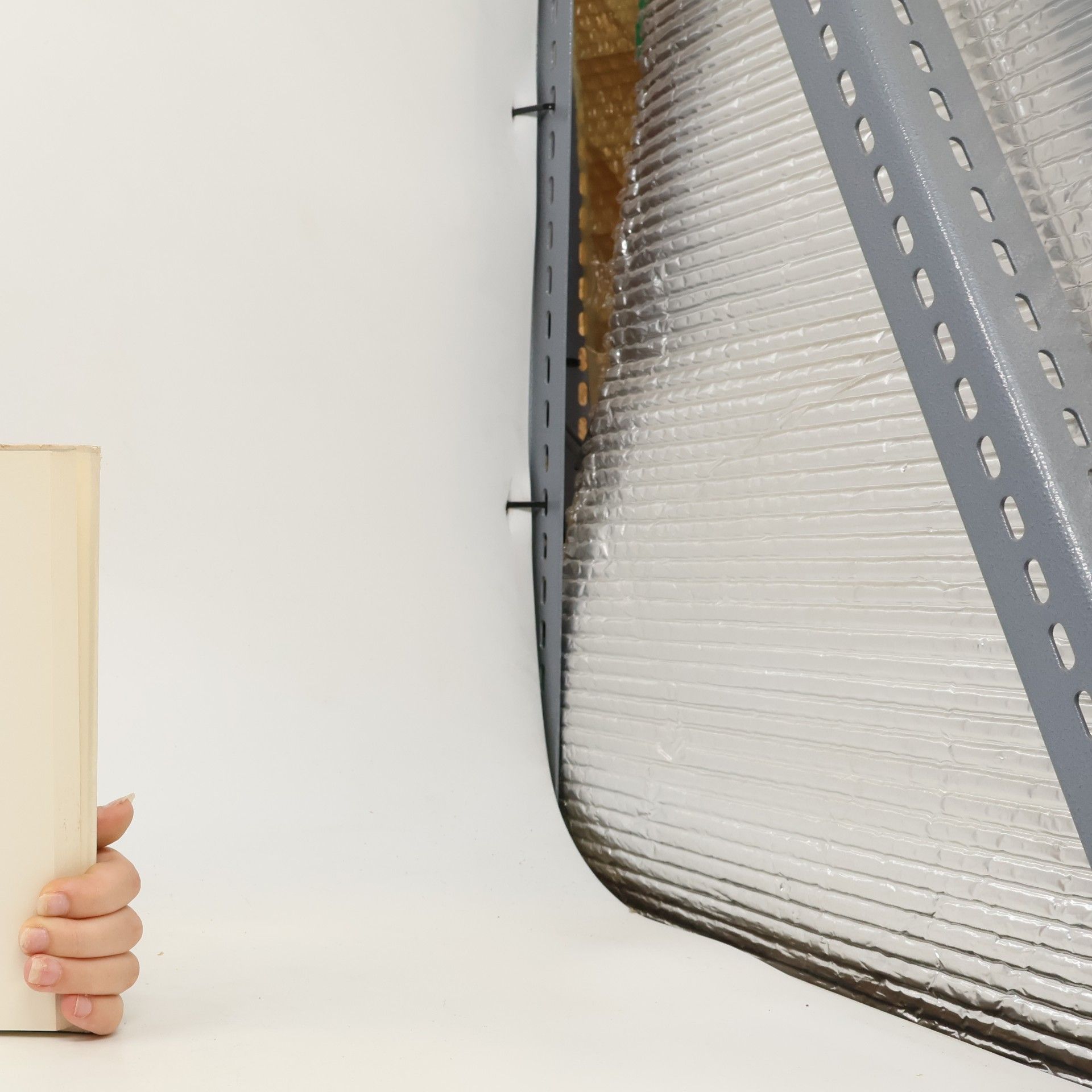 Claus Westermann Umstrittene Bibel