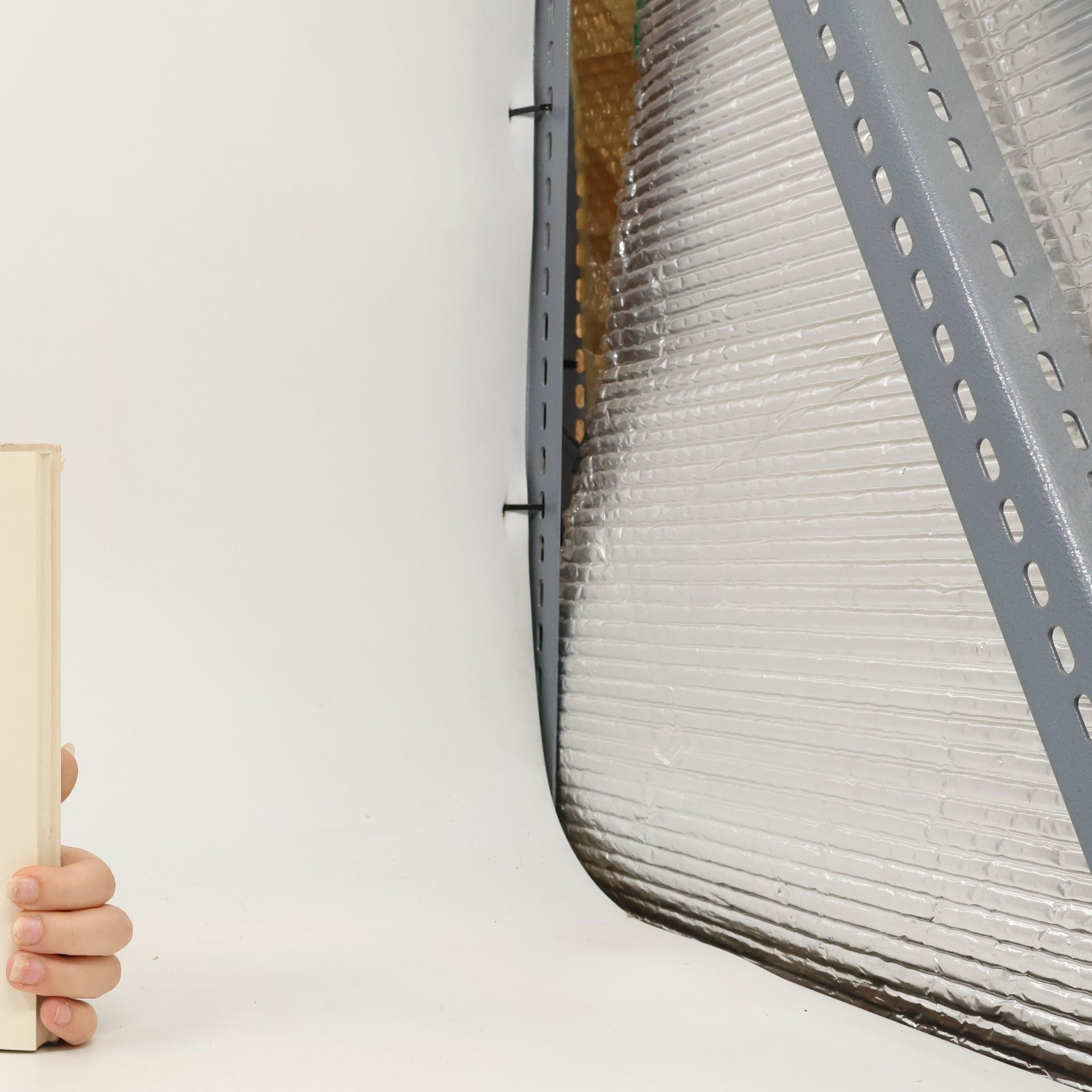 Claus Westermann Umstrittene Bibel