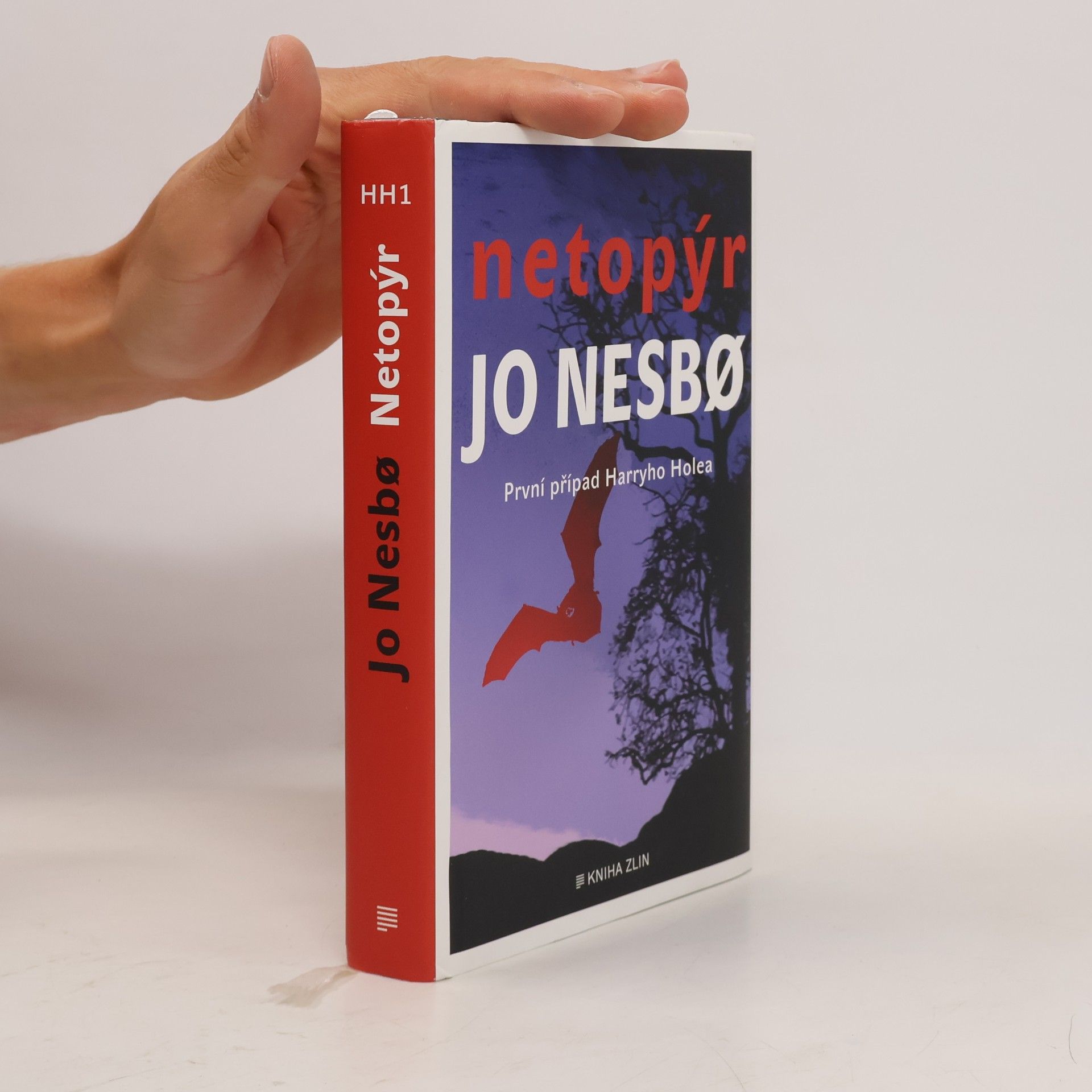 Jo Nesbø Netopýr : první případ Harryho Holea